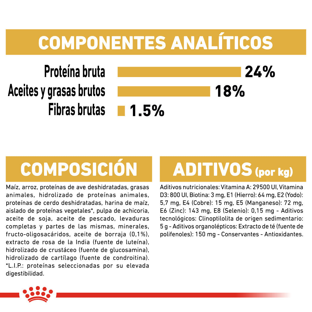 Royal Canin Bichón Maltés Pienso para Perros Adultos de Raza al mejor precio -todoastorenimal.com