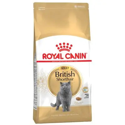 Royal Canin British Shorthair 2 kg Pienso Seco para Gatos al mejor precio -todoastorenimal.com