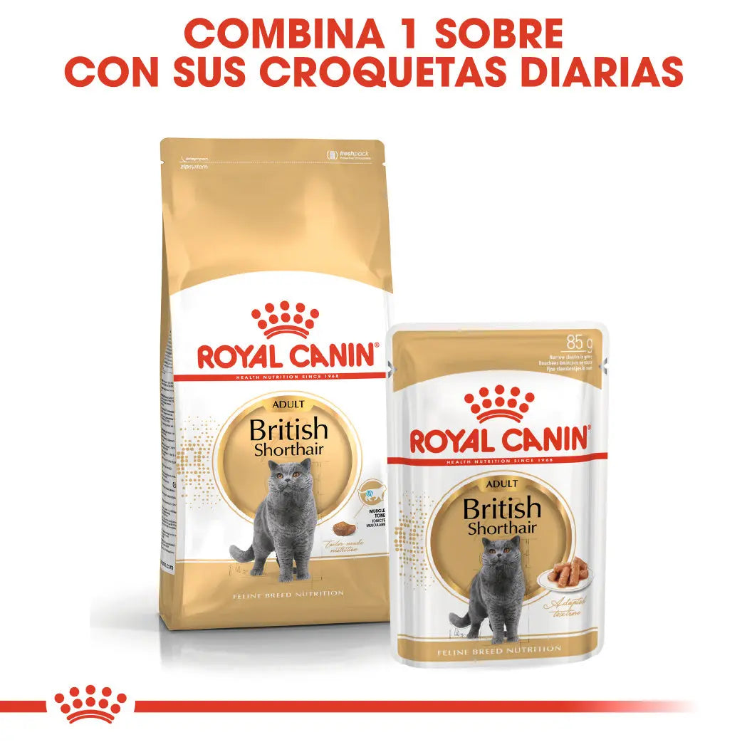 Royal Canin British Shorthair 2 kg Pienso Seco para Gatos al mejor precio -todoastorenimal.com