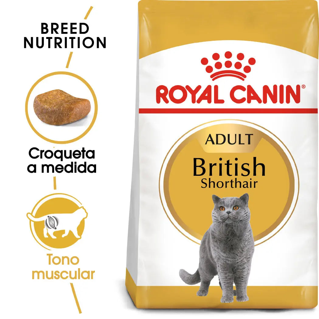 Royal Canin British Shorthair 2 kg Pienso Seco para Gatos al mejor precio -todoastorenimal.com