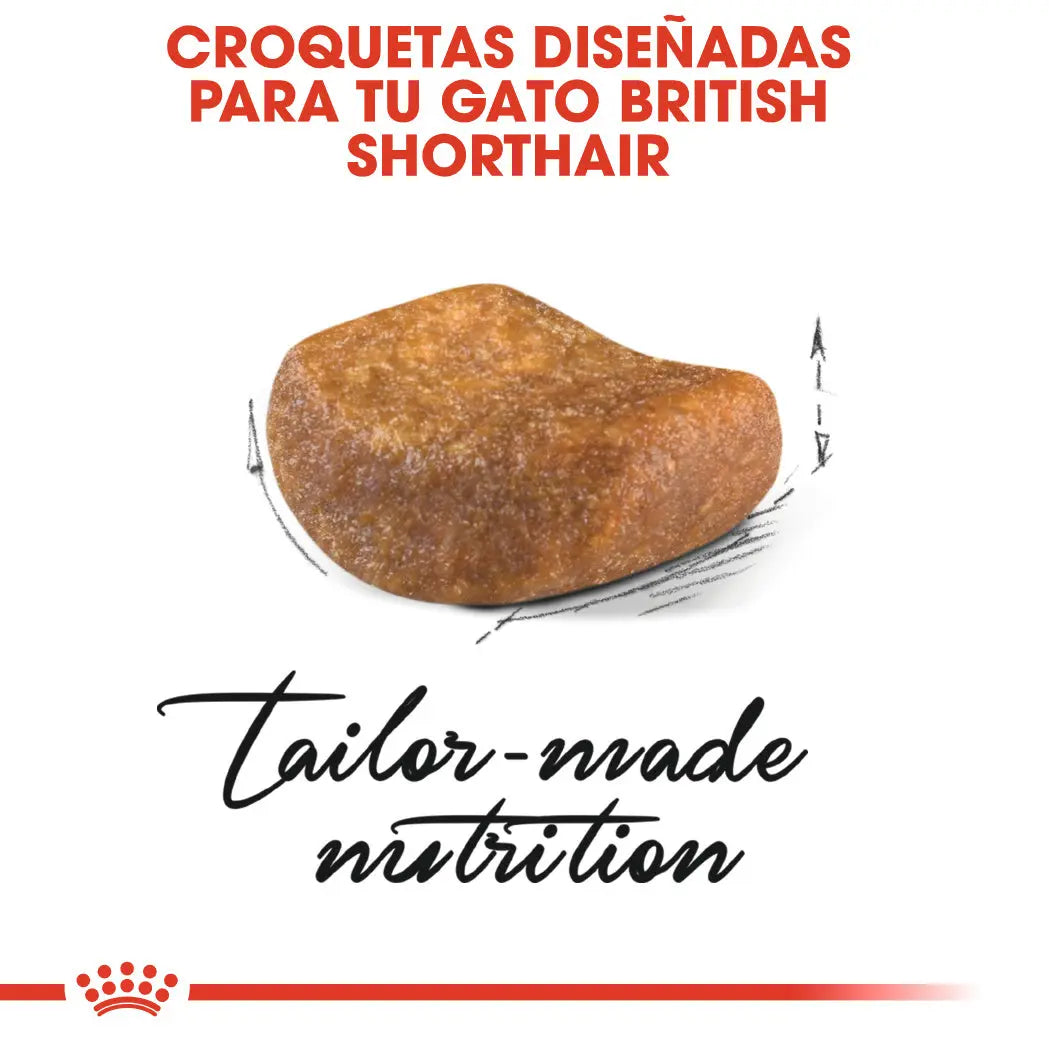 Royal Canin British Shorthair 2 kg Pienso Seco para Gatos al mejor precio -todoastorenimal.com