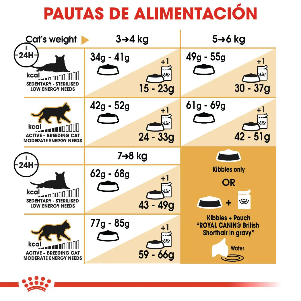 Royal Canin British Shorthair 2 kg Pienso Seco para Gatos al mejor precio -todoastorenimal.com