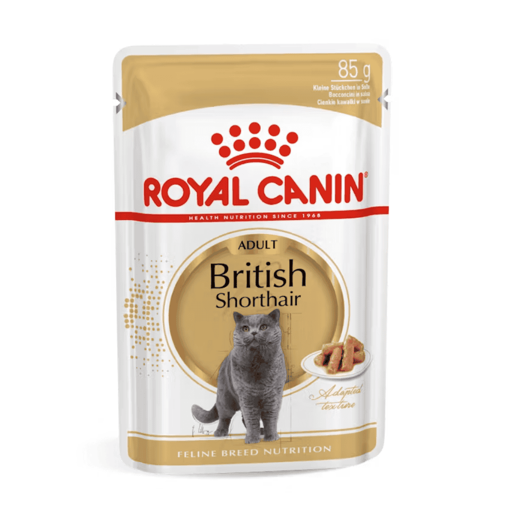 Royal Canin British Shorthair Paté Húmedo para Gatos al mejor precio -todoastorenimal.com