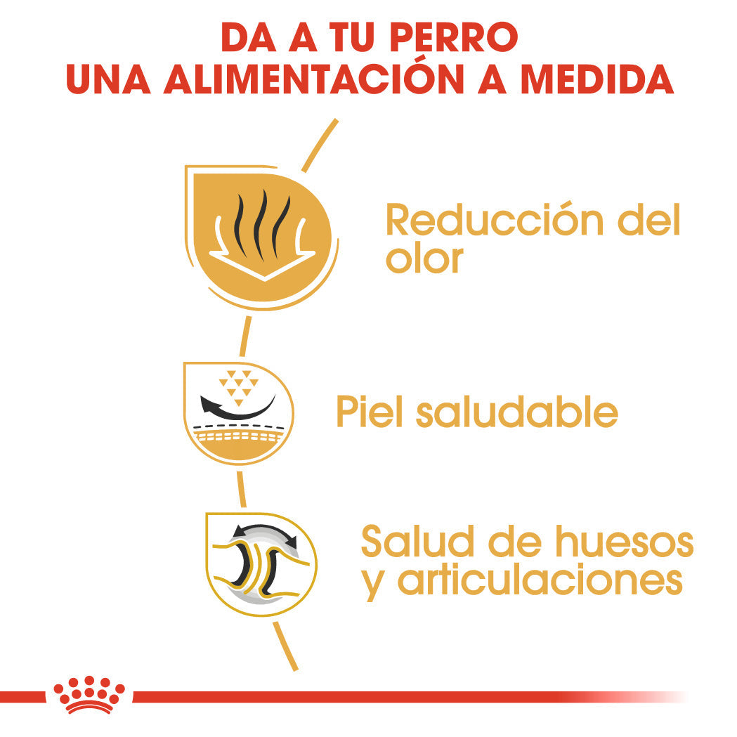 Royal Canin Bulldog Inglés Pienso para Perros de Raza Bulldog Adultos al mejor precio -todoastorenimal.com