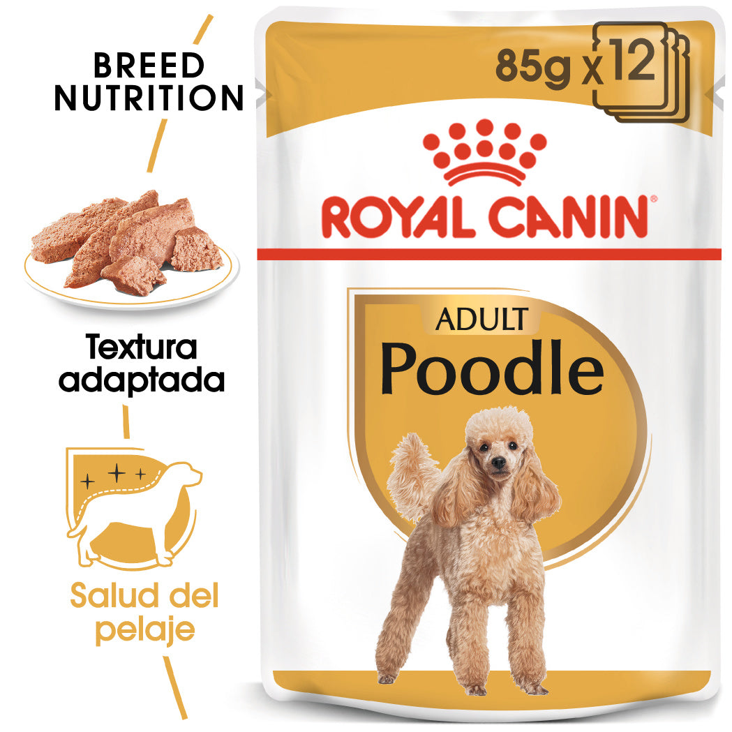 Royal Canin Caniche Poodle Paté Adulto 85 g Comida Húmeda para Perros al mejor precio -todoastorenimal.com