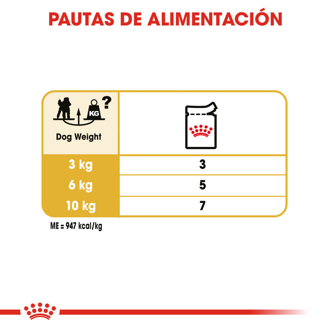 Royal Canin Caniche Poodle Paté Adulto 85 g Comida Húmeda para Perros al mejor precio -todoastorenimal.com
