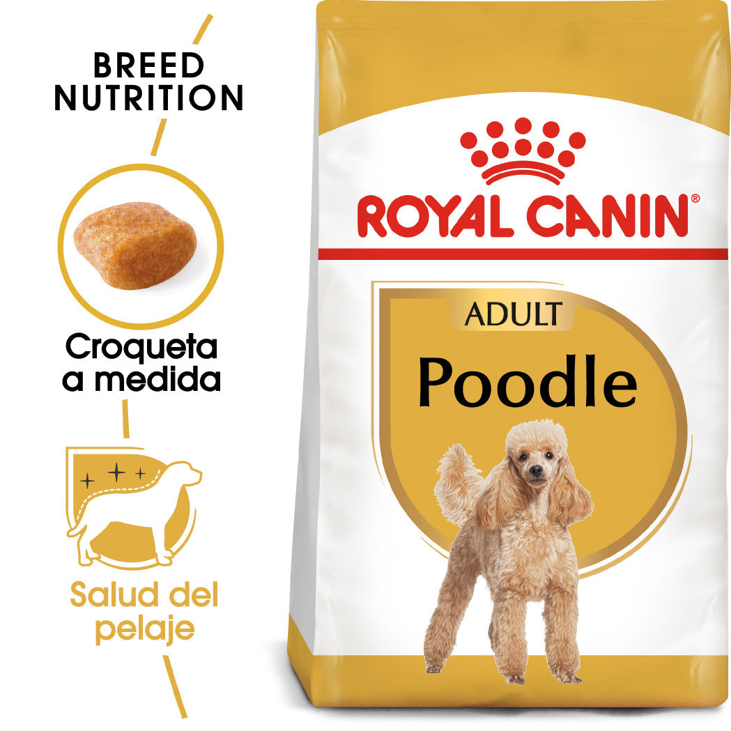 Royal Canin Caniche Poodle Pienso para Perros de Raza al mejor precio -todoastorenimal.com