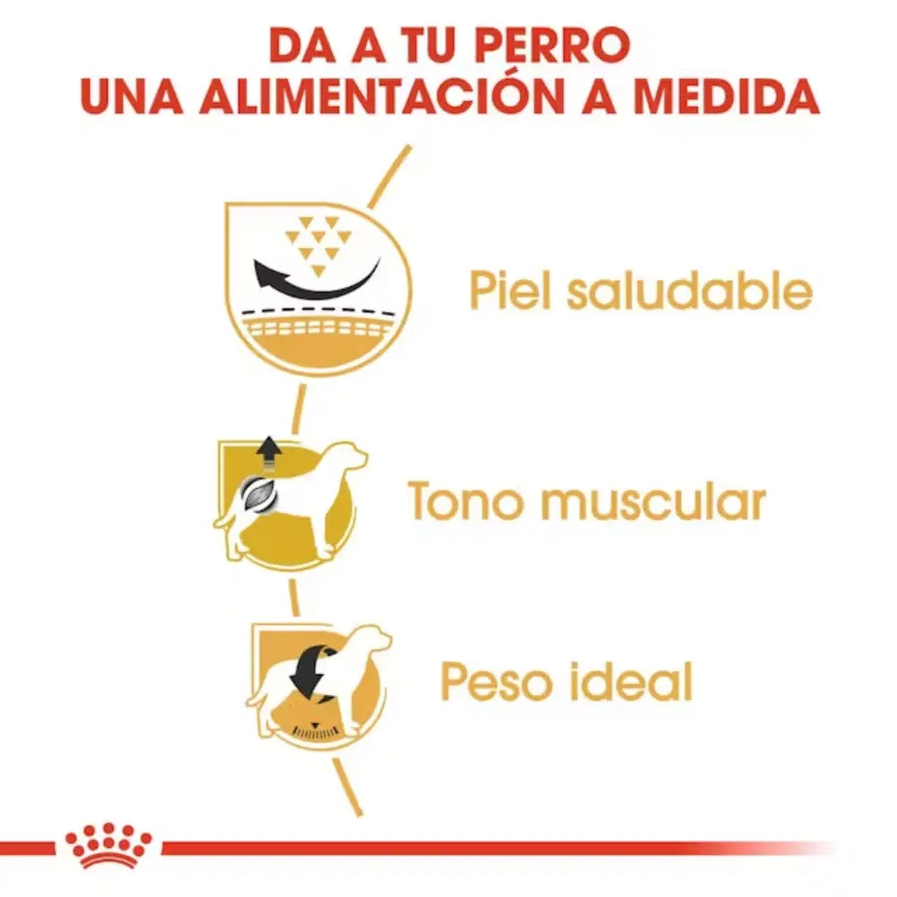 Royal Canin Carlino Pug 25 al mejor precio -todoastorenimal.com