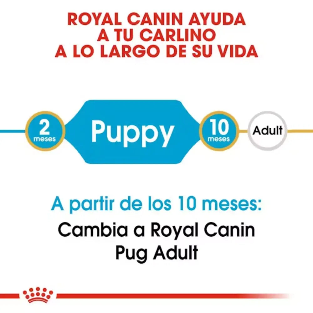 Royal Canin Carlino Pug Puppy 1.5 kg al mejor precio -todoastorenimal.com