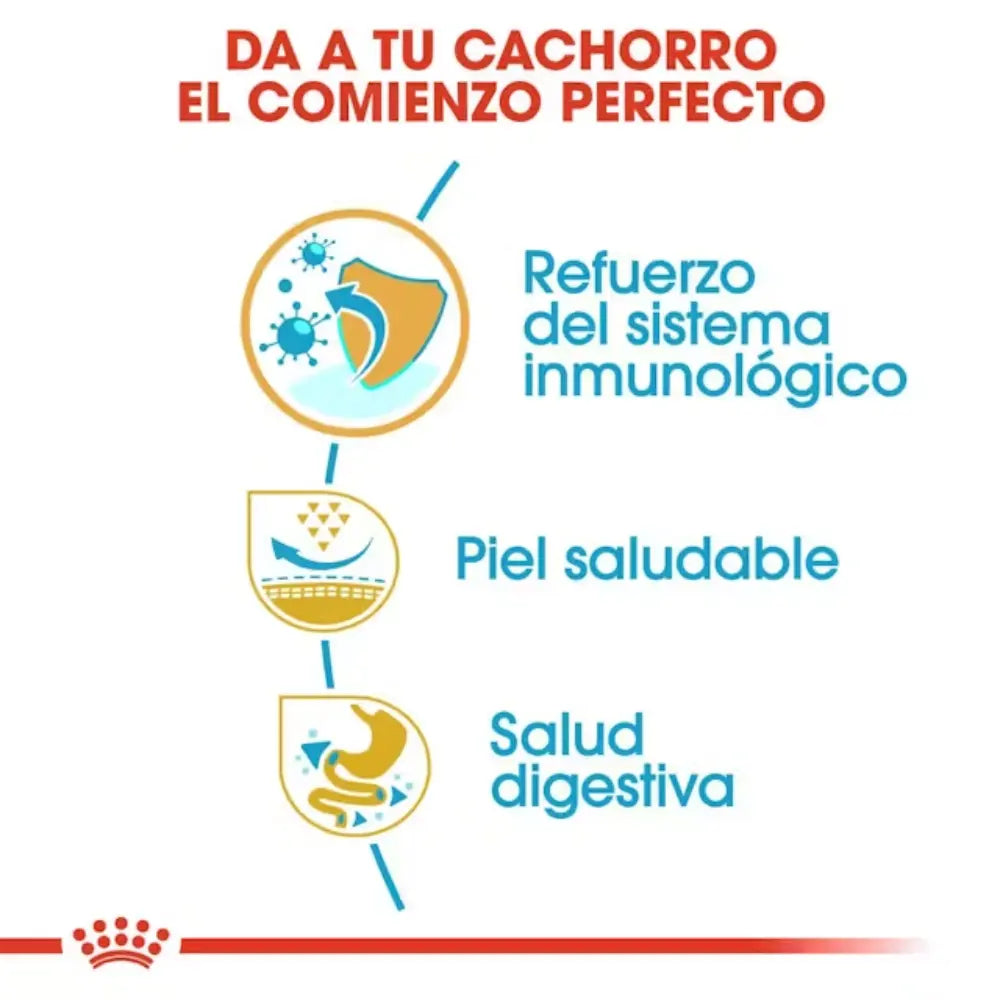 Royal Canin Carlino Pug Puppy 1.5 kg al mejor precio -todoastorenimal.com