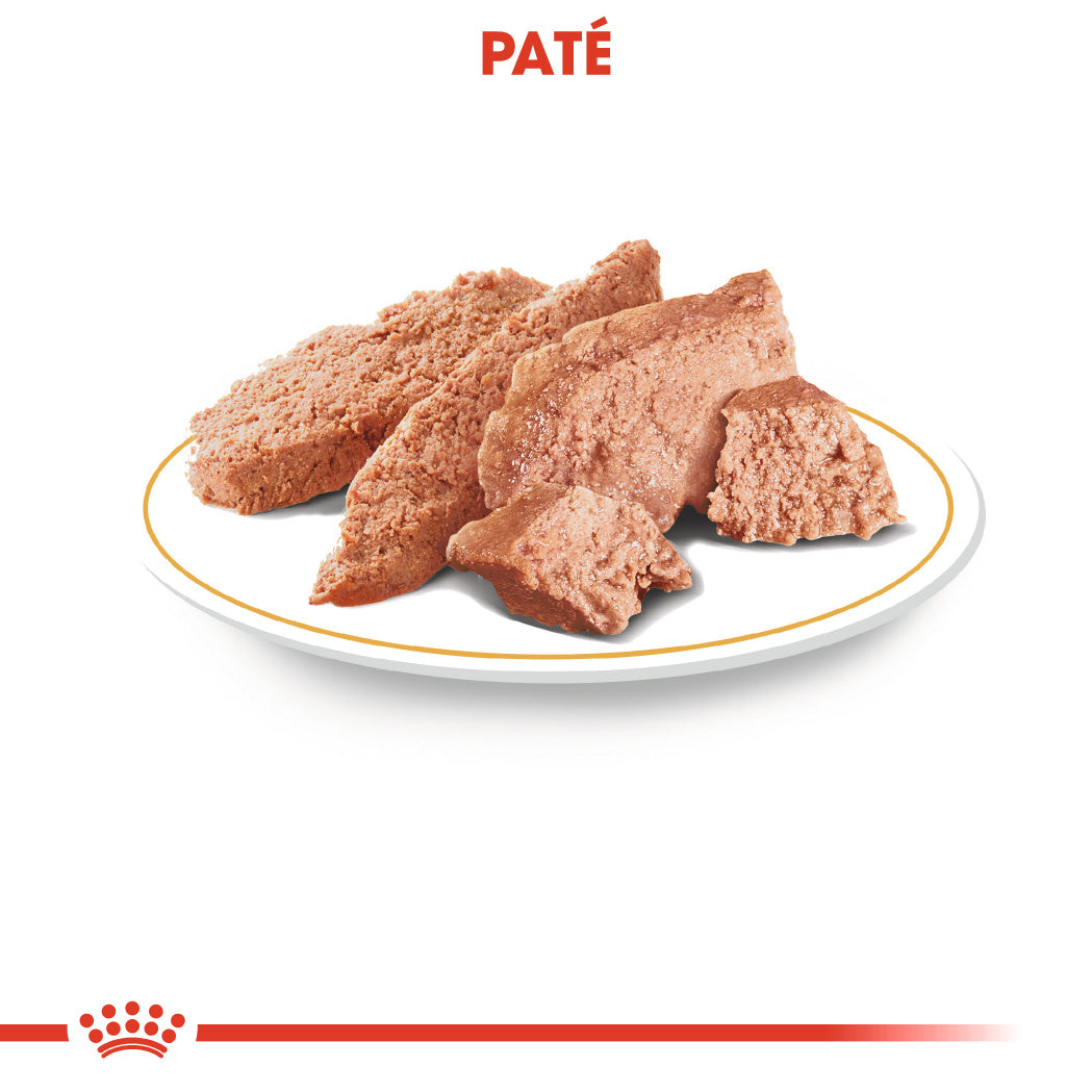 Royal Canin Chihuahua Paté Adulto 85 g Comida Húmeda para Perros al mejor precio -todoastorenimal.com