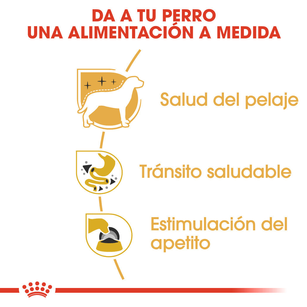 Royal Canin Chihuahua Paté Adulto 85 g Comida Húmeda para Perros al mejor precio -todoastorenimal.com