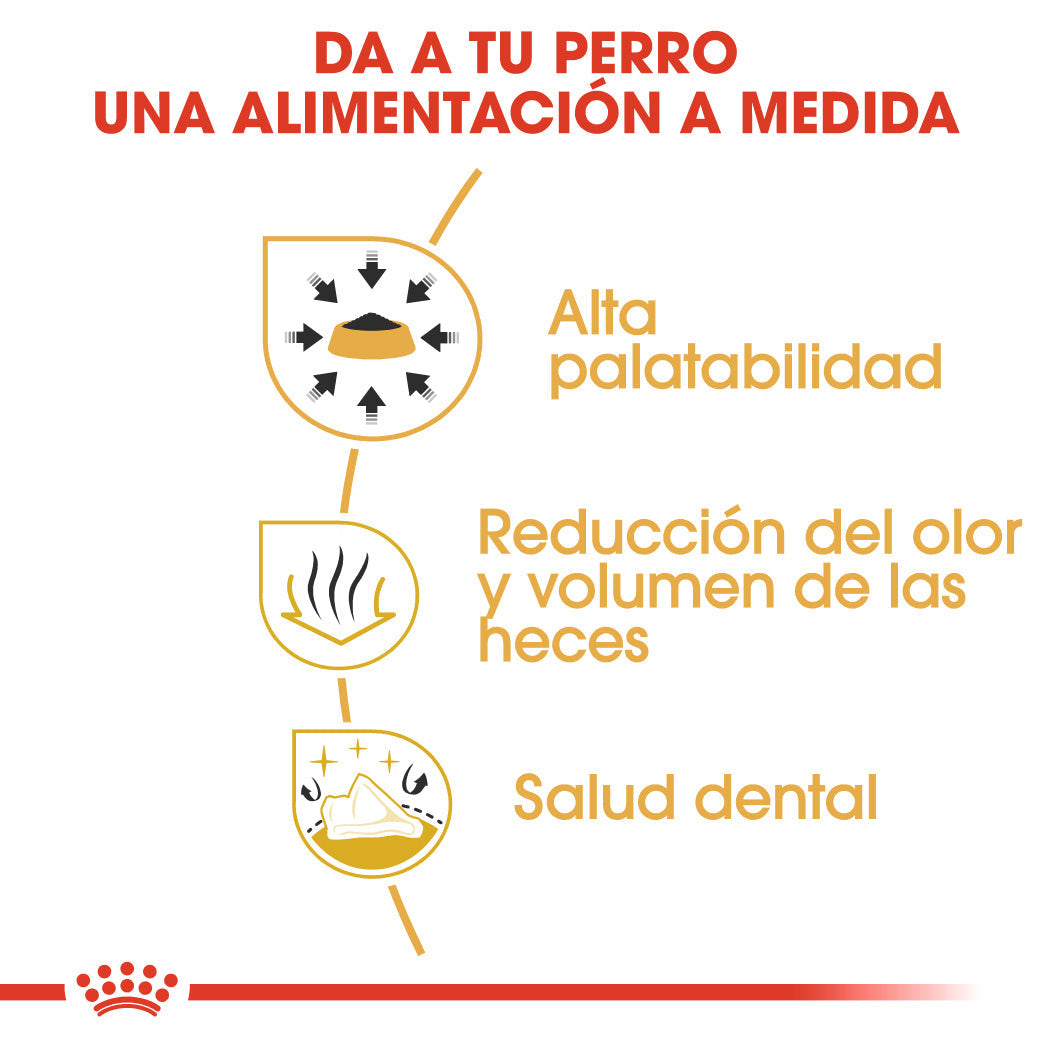 Royal Canin Chihuahua Pienso para Perros Adultos al mejor precio -todoastorenimal.com
