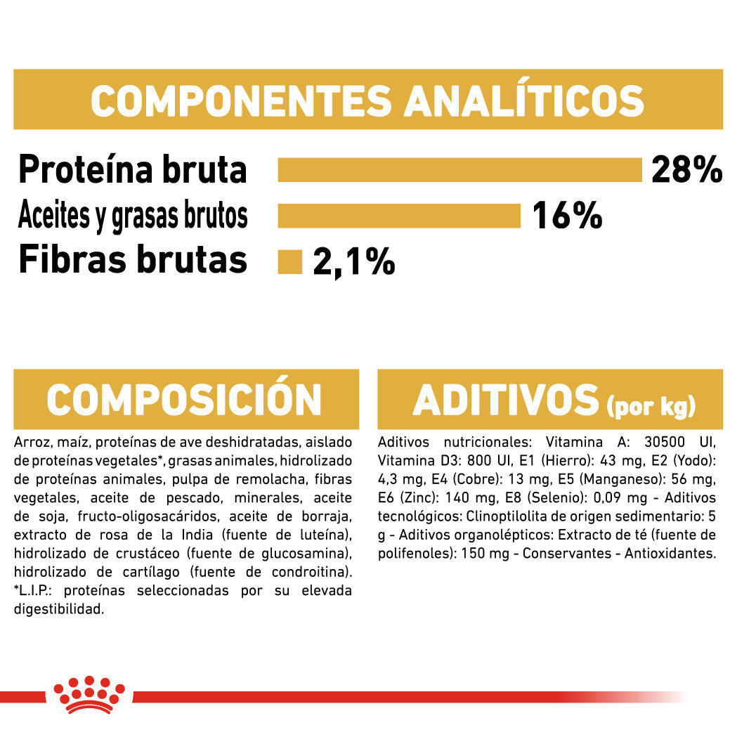 Royal Canin Chihuahua Pienso para Perros Adultos al mejor precio -todoastorenimal.com