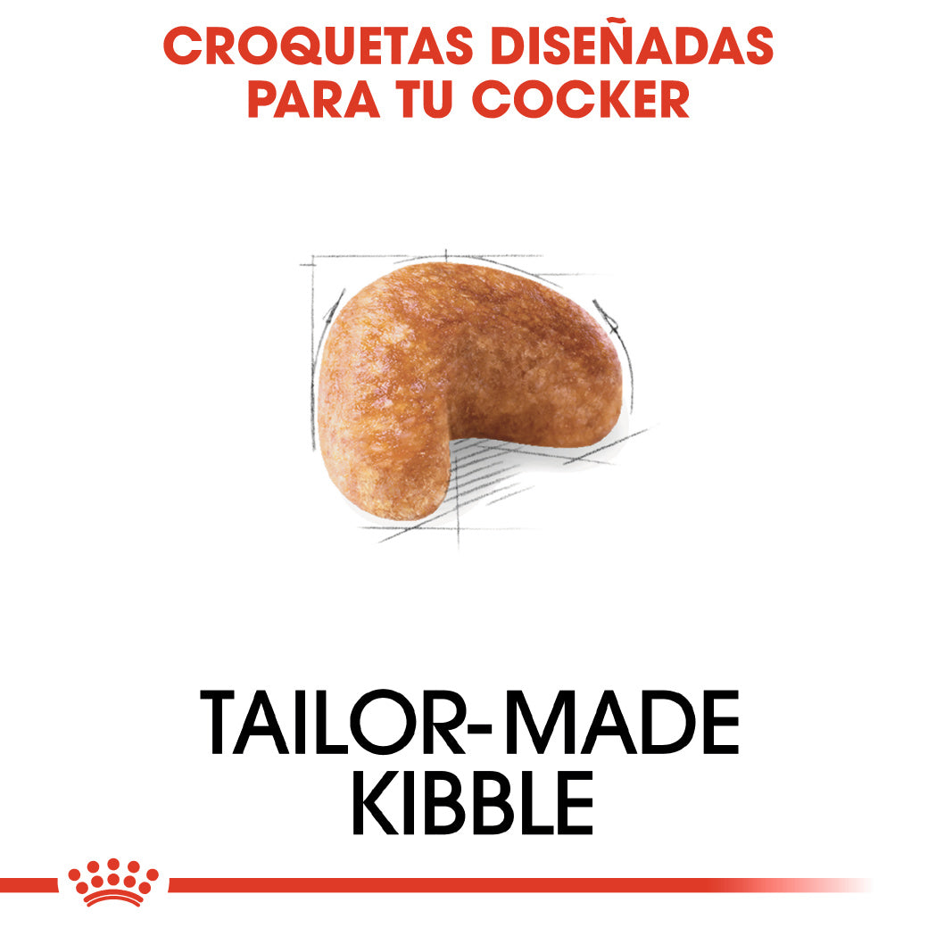 Royal Canin Cocker Spaniels Pienso para Perros de Raza al mejor precio -todoastorenimal.com