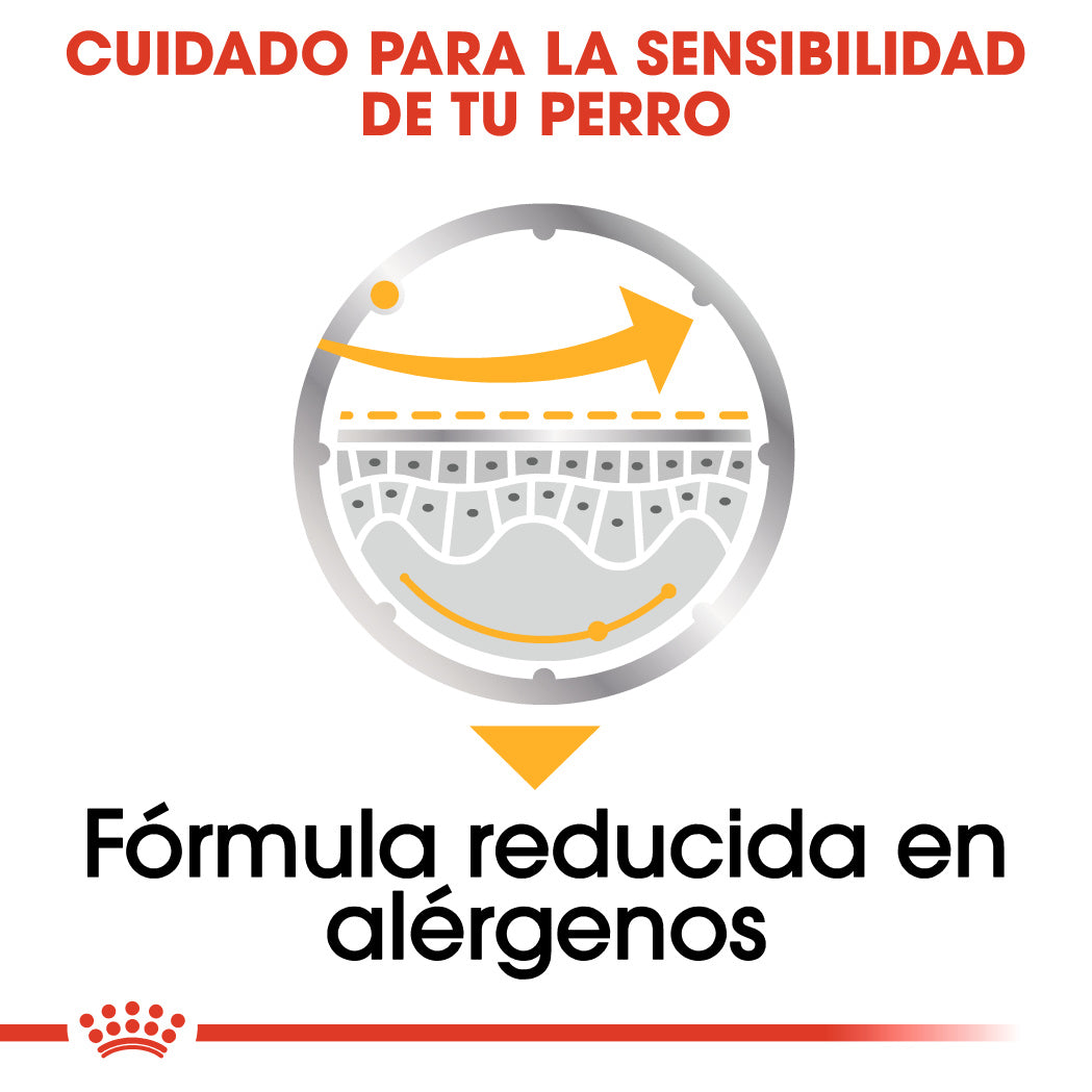Royal Canin Dermacomfort Care Paté 85 g Comida Húmeda para Perros al mejor precio -todoastorenimal.com