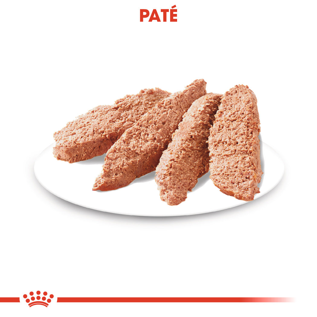 Royal Canin Digestive Care Paté 85 g Comida Húmeda para Perros al mejor precio -todoastorenimal.com