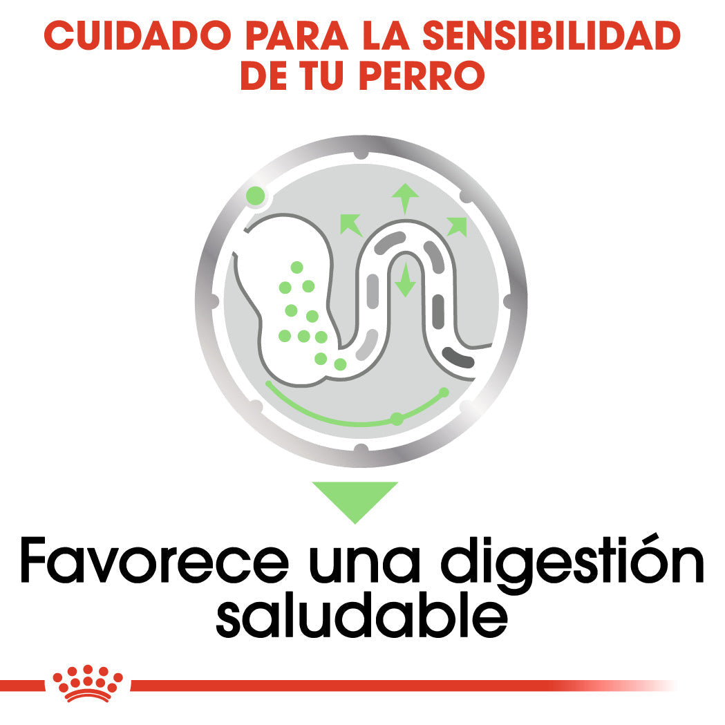 Royal Canin Digestive Care Paté 85 g Comida Húmeda para Perros al mejor precio -todoastorenimal.com