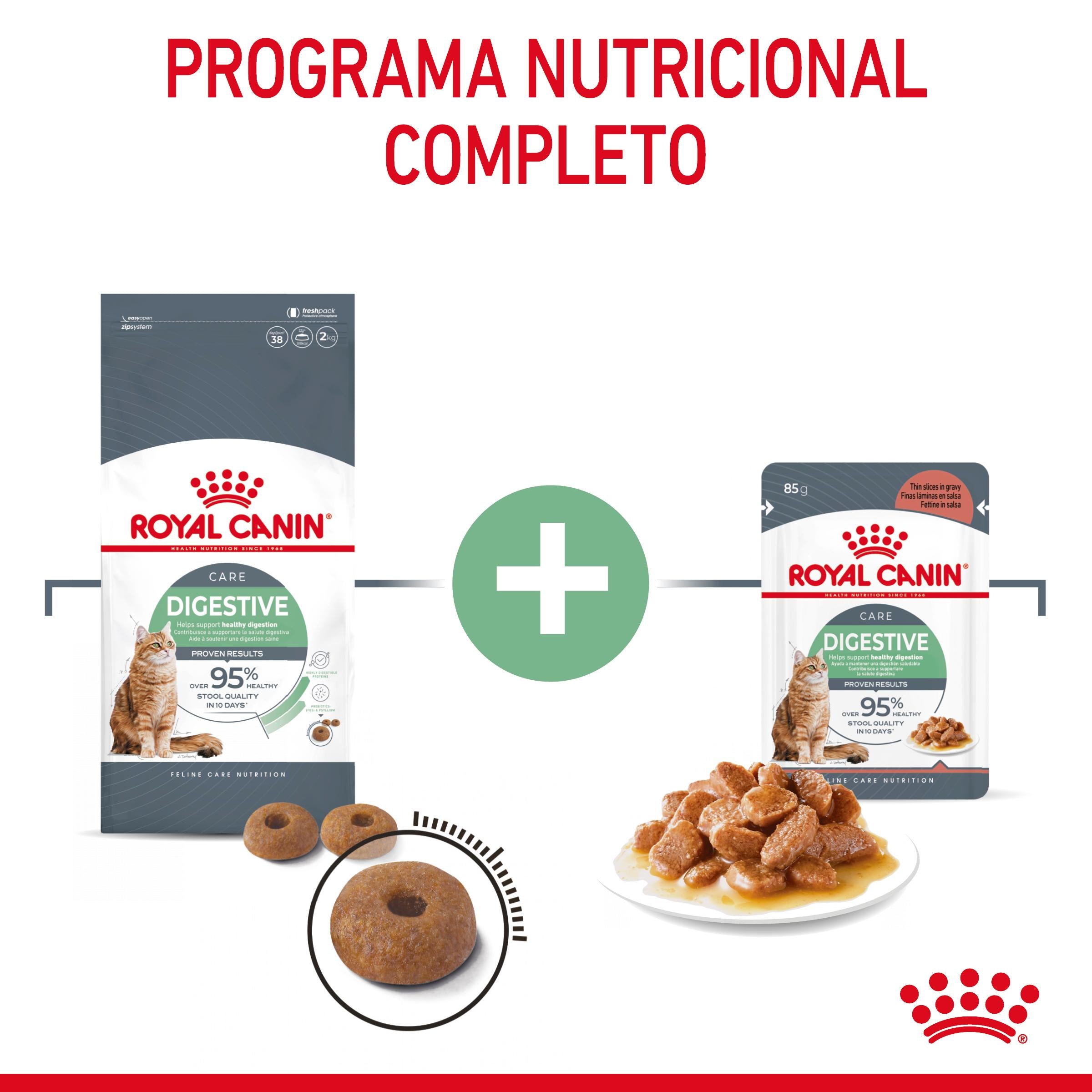 Royal Canin Digestive Care Pienso para Gatos al mejor precio -todoastorenimal.com