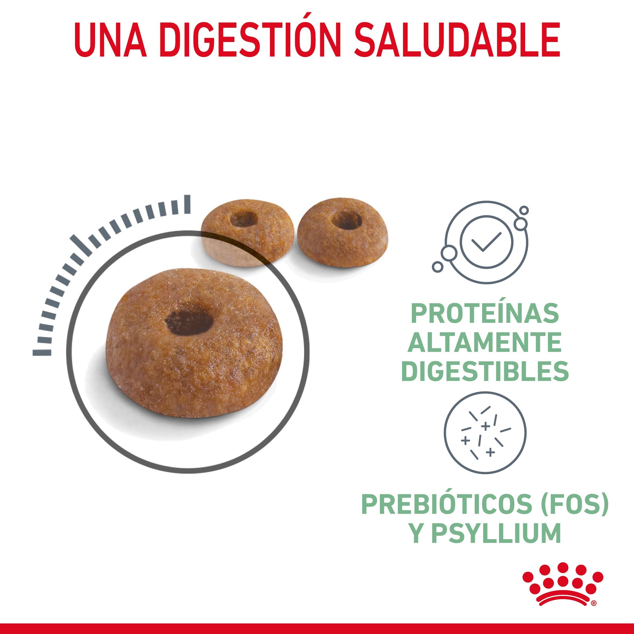 Royal Canin Digestive Care Pienso para Gatos al mejor precio -todoastorenimal.com