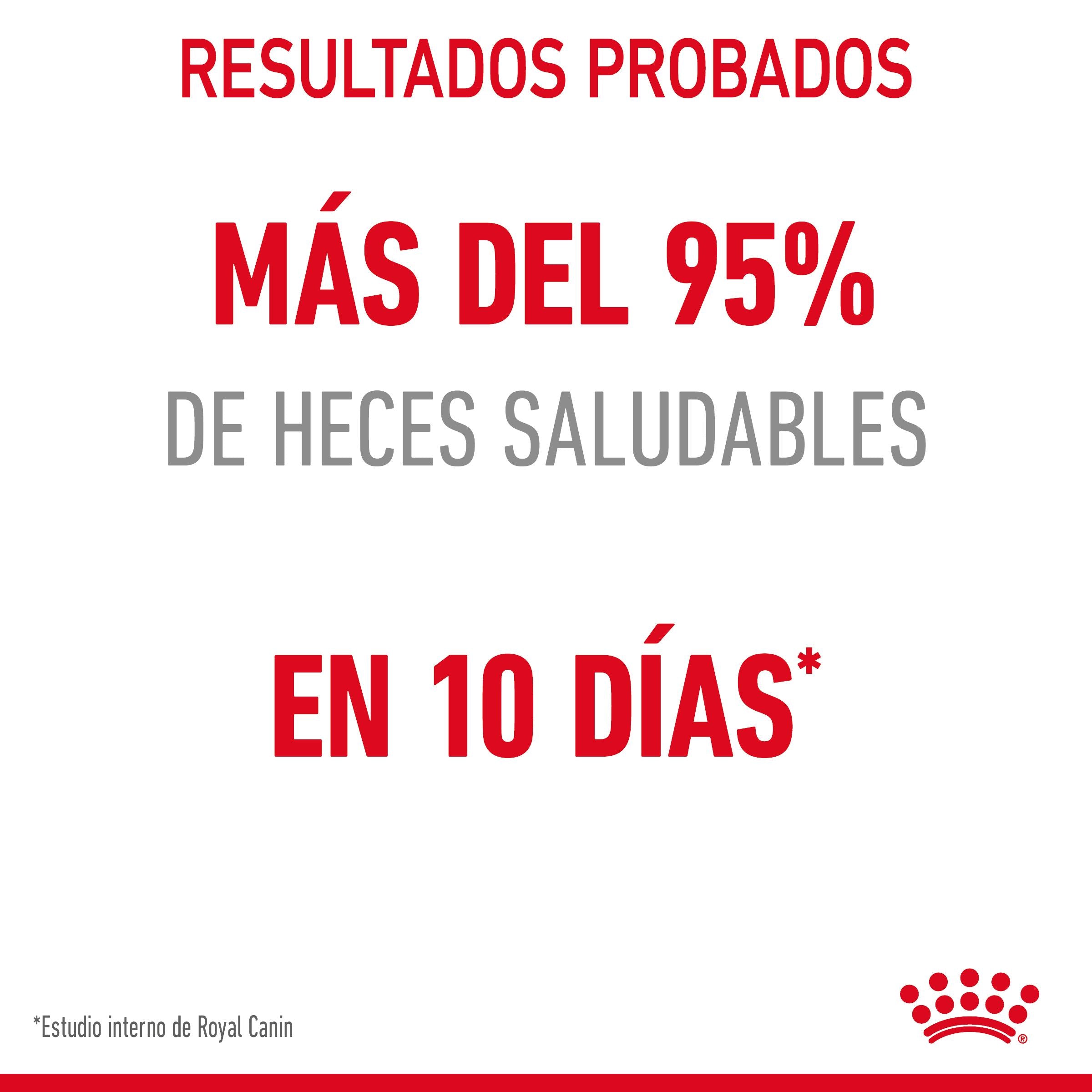 Royal Canin Digestive Care Pienso para Gatos al mejor precio -todoastorenimal.com