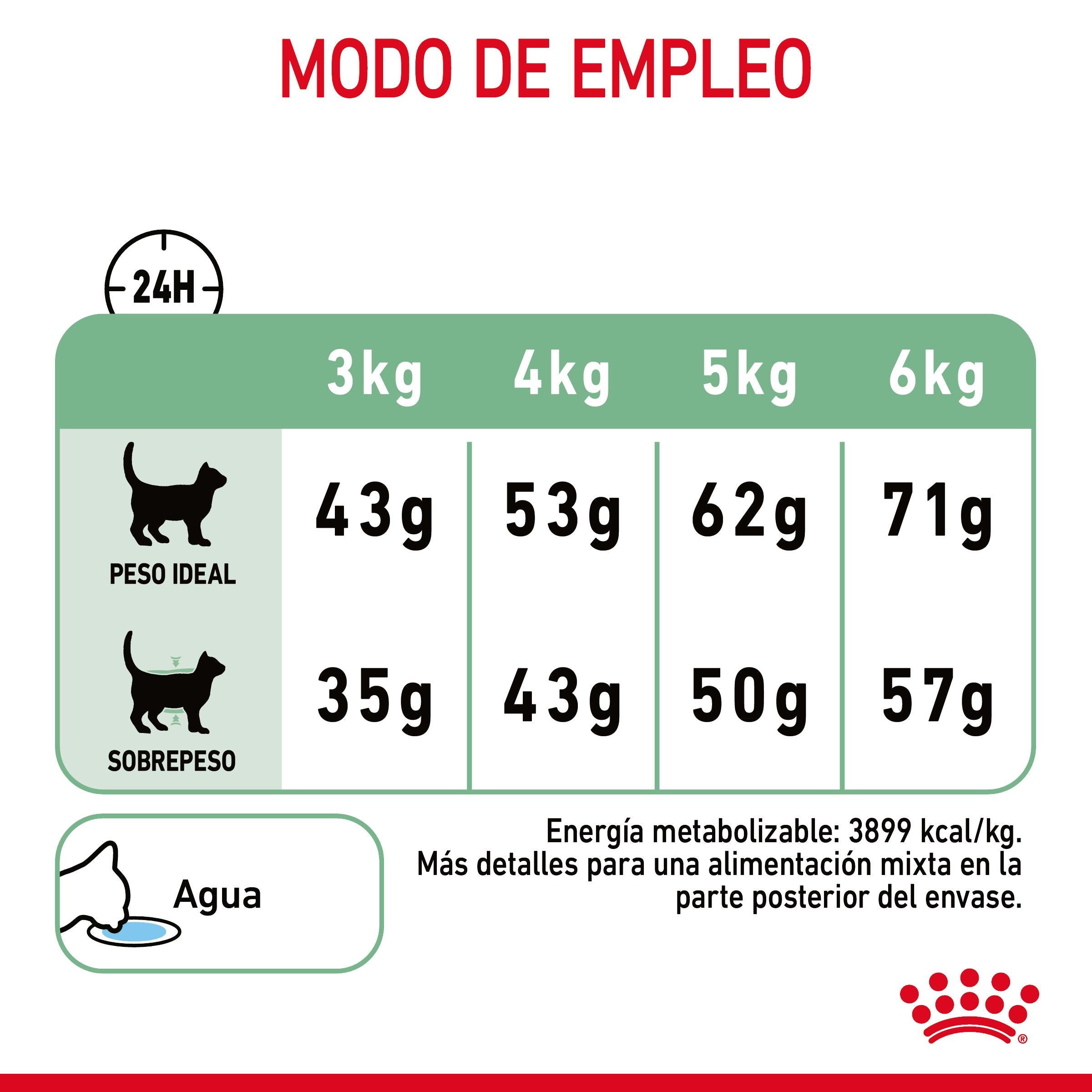 Royal Canin Digestive Care Pienso para Gatos al mejor precio -todoastorenimal.com