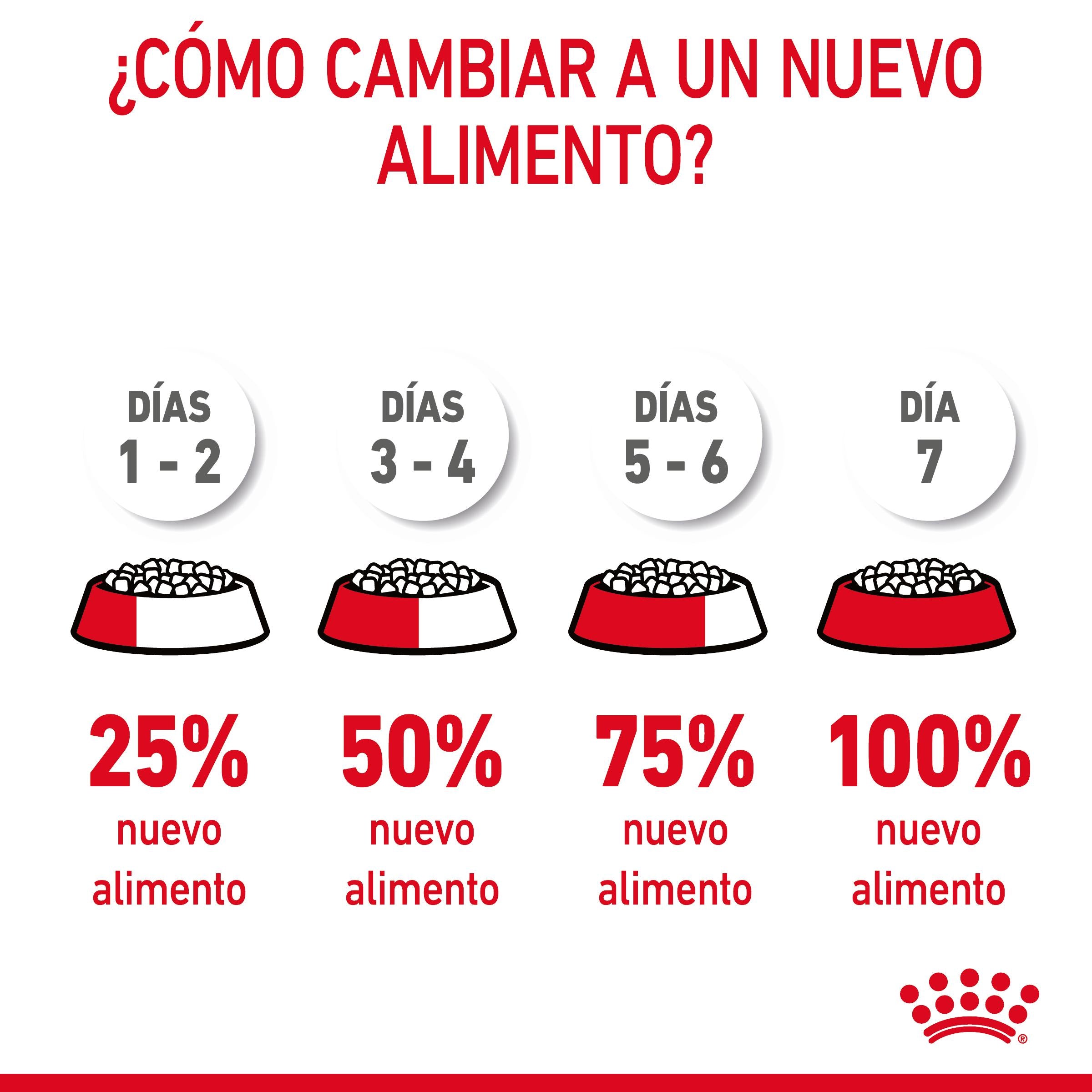 Royal Canin Digestive Care Pienso para Gatos al mejor precio -todoastorenimal.com