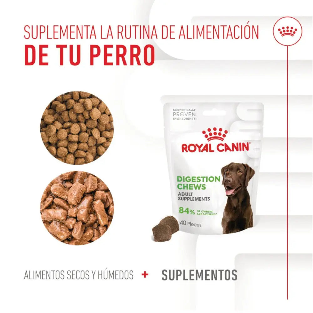 Royal Canin Digestive Support Chews 160 g Suplemento para Perros Adultos al mejor precio -todoastorenimal.com