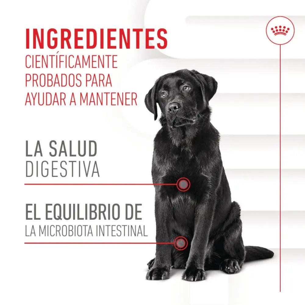 Royal Canin Digestive Support Chews 160 g Suplemento para Perros Adultos al mejor precio -todoastorenimal.com
