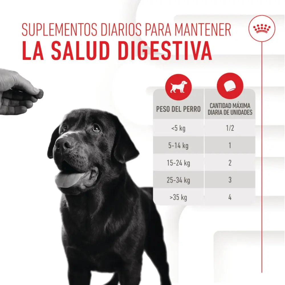 Royal Canin Digestive Support Chews 160 g Suplemento para Perros Adultos al mejor precio -todoastorenimal.com