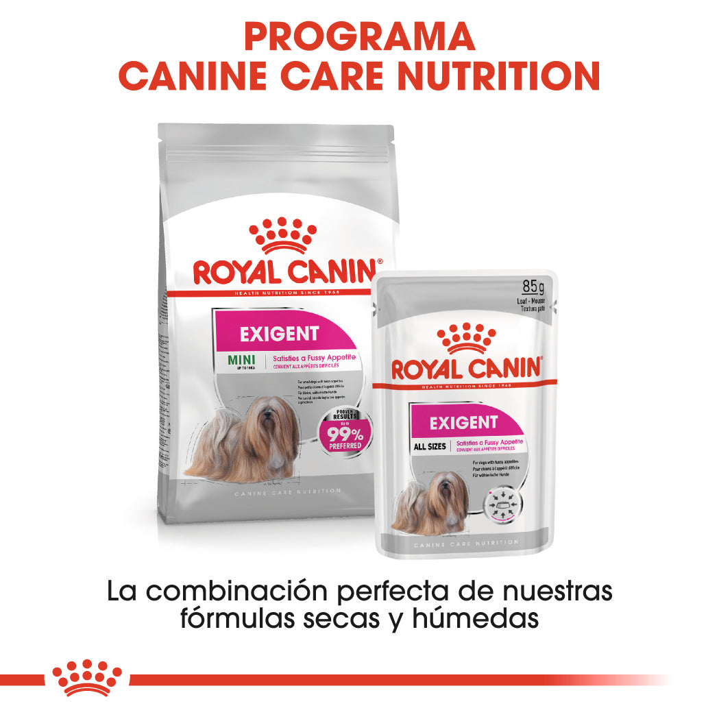Royal Canin Exigent Care Paté 85 g Alimento Húmedo para Perros al mejor precio -todoastorenimal.com