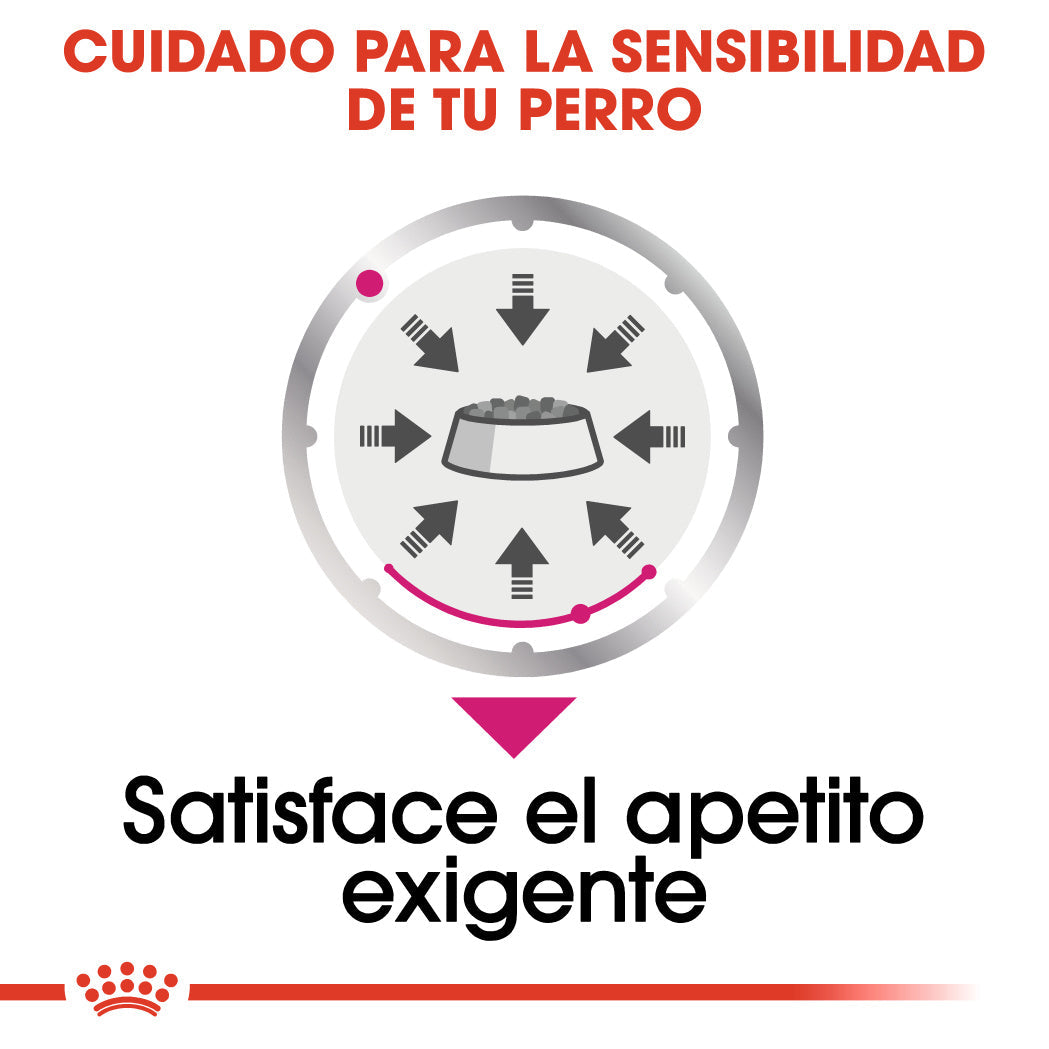 Royal Canin Exigent Care Paté 85 g Alimento Húmedo para Perros al mejor precio -todoastorenimal.com