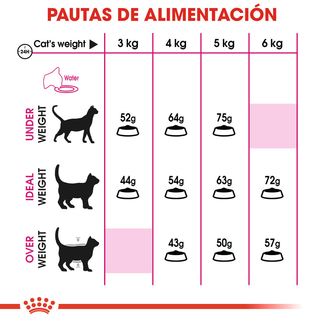 Royal Canin Fit 32 Pienso Seco para Gatos Adultos al mejor precio -todoastorenimal.com