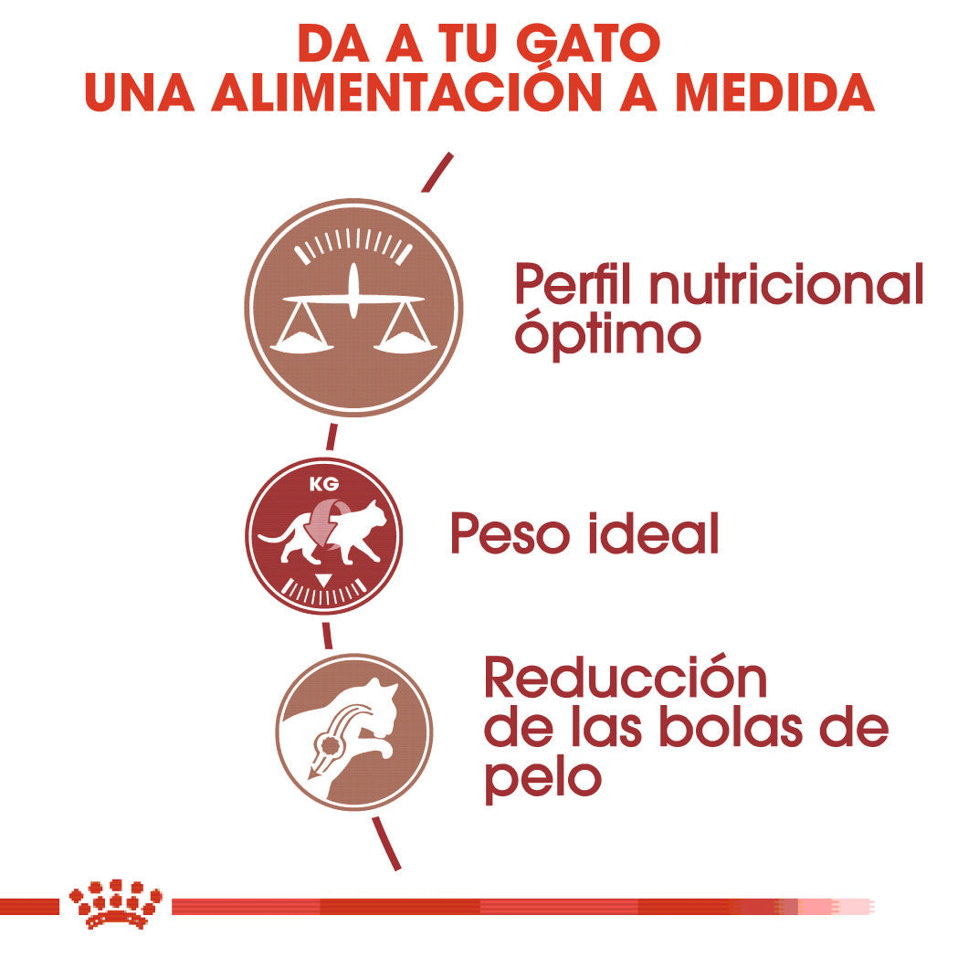 Royal Canin Fit 32 Pienso Seco para Gatos Adultos al mejor precio -todoastorenimal.com