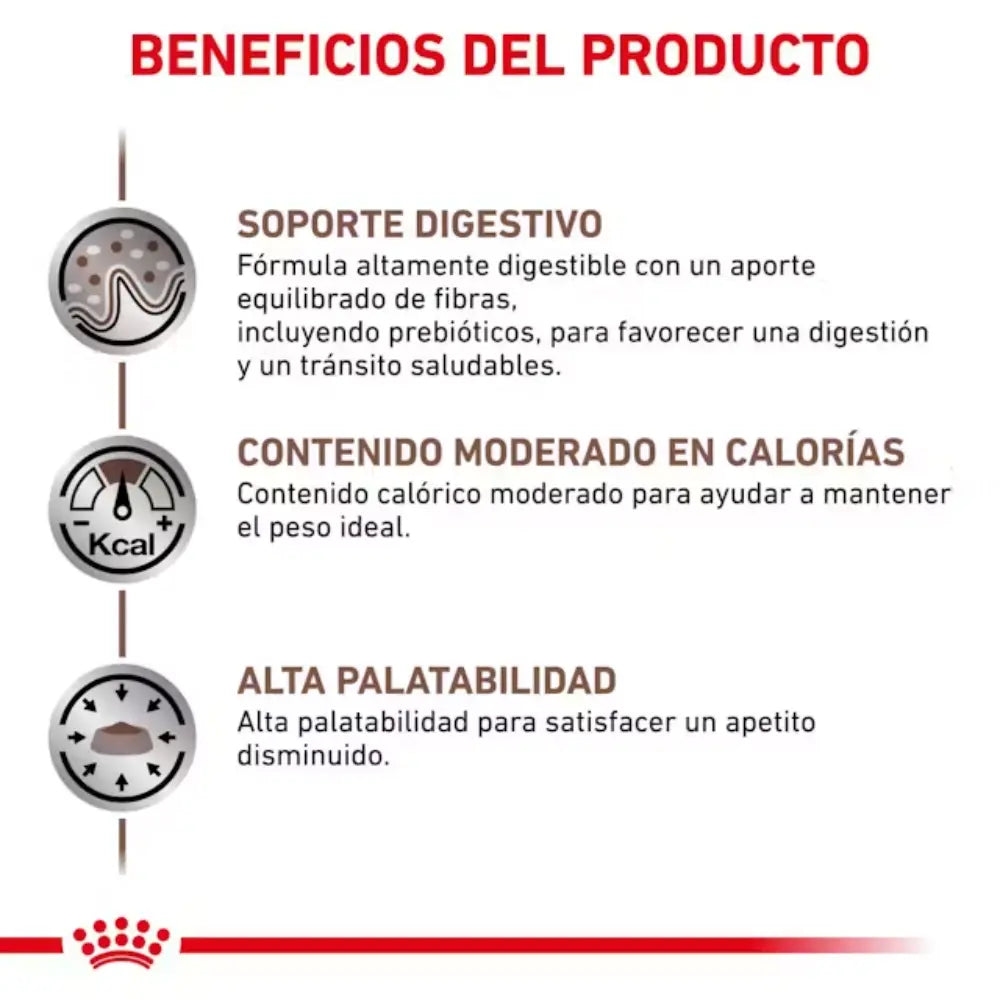 Royal Canin Gastro Instestinal Moderate S/O Calorie 2 kg Gato al mejor precio -todoastorenimal.com