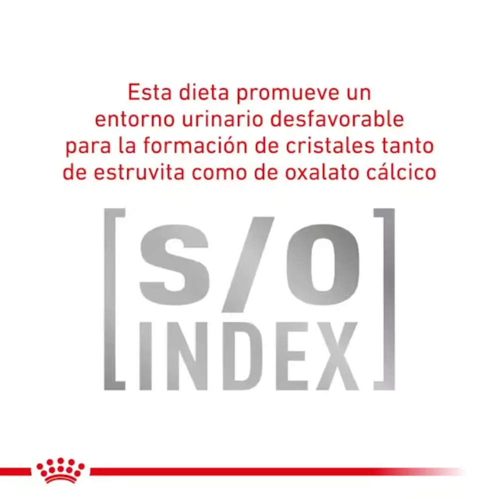 Royal Canin Gastro Instestinal Moderate S/O Calorie 2 kg Gato al mejor precio -todoastorenimal.com