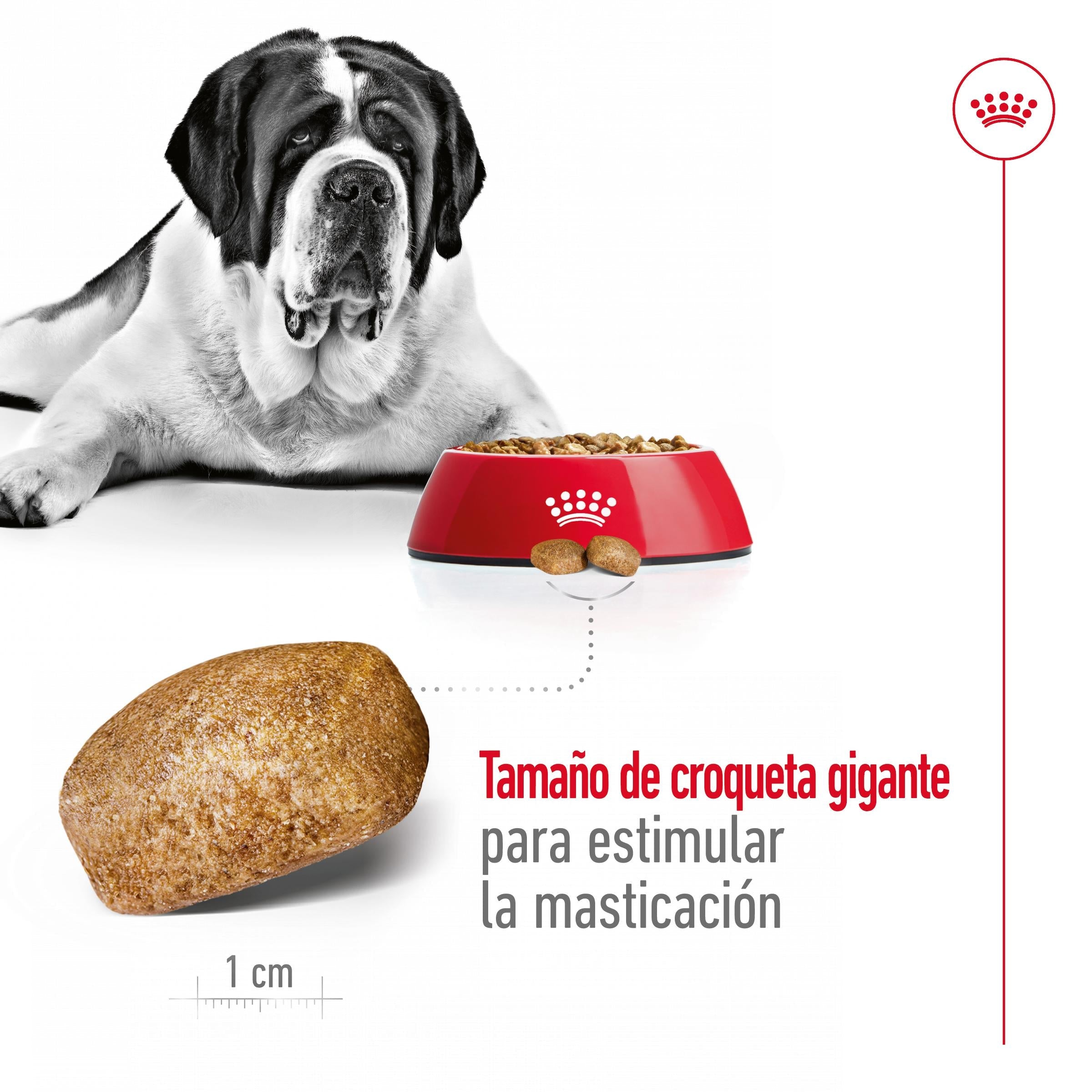 Royal Canin Giant Adult 15 kg Pienso para Perros al mejor precio -todoastorenimal.com