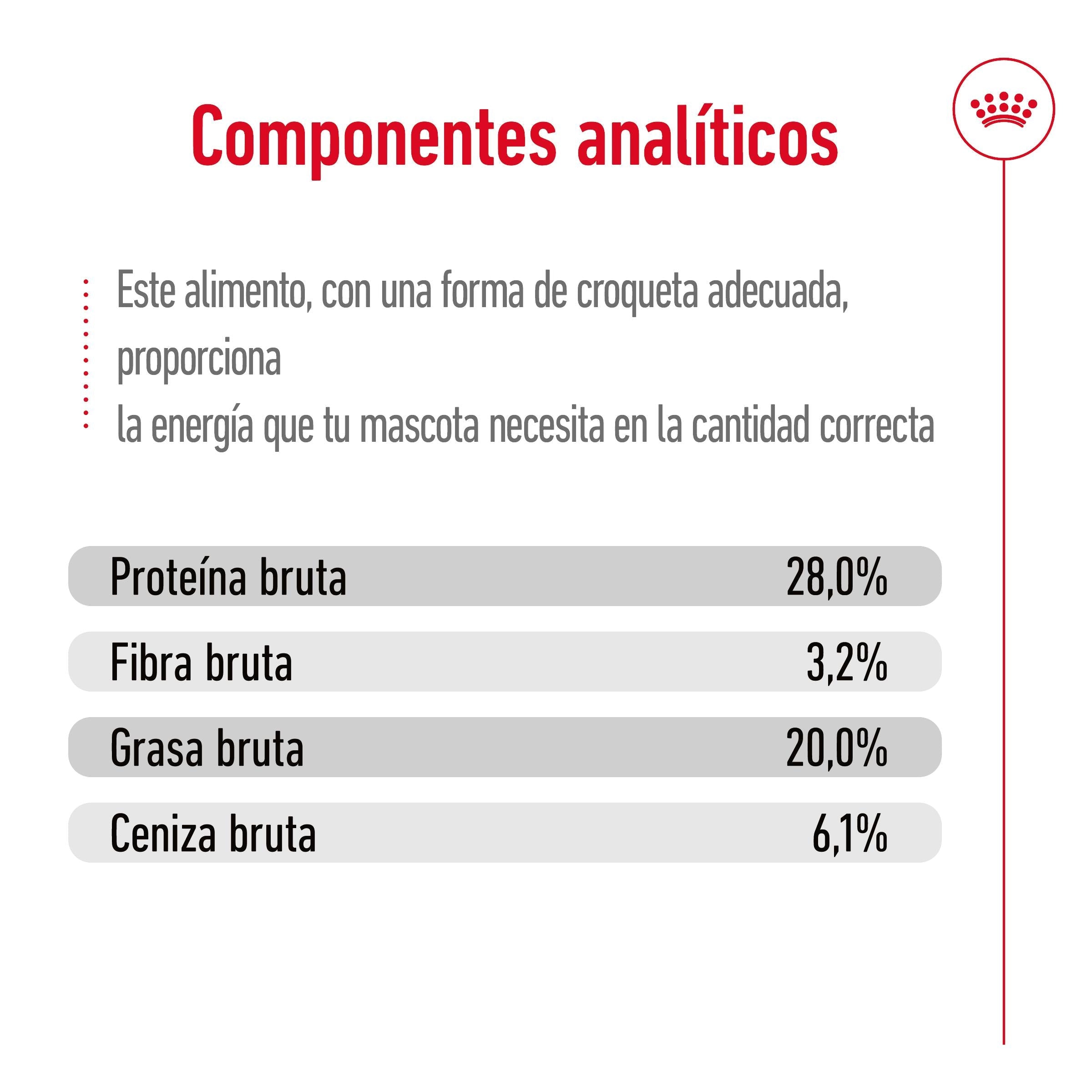 Royal Canin Giant Adult 15 kg Pienso para Perros al mejor precio -todoastorenimal.com