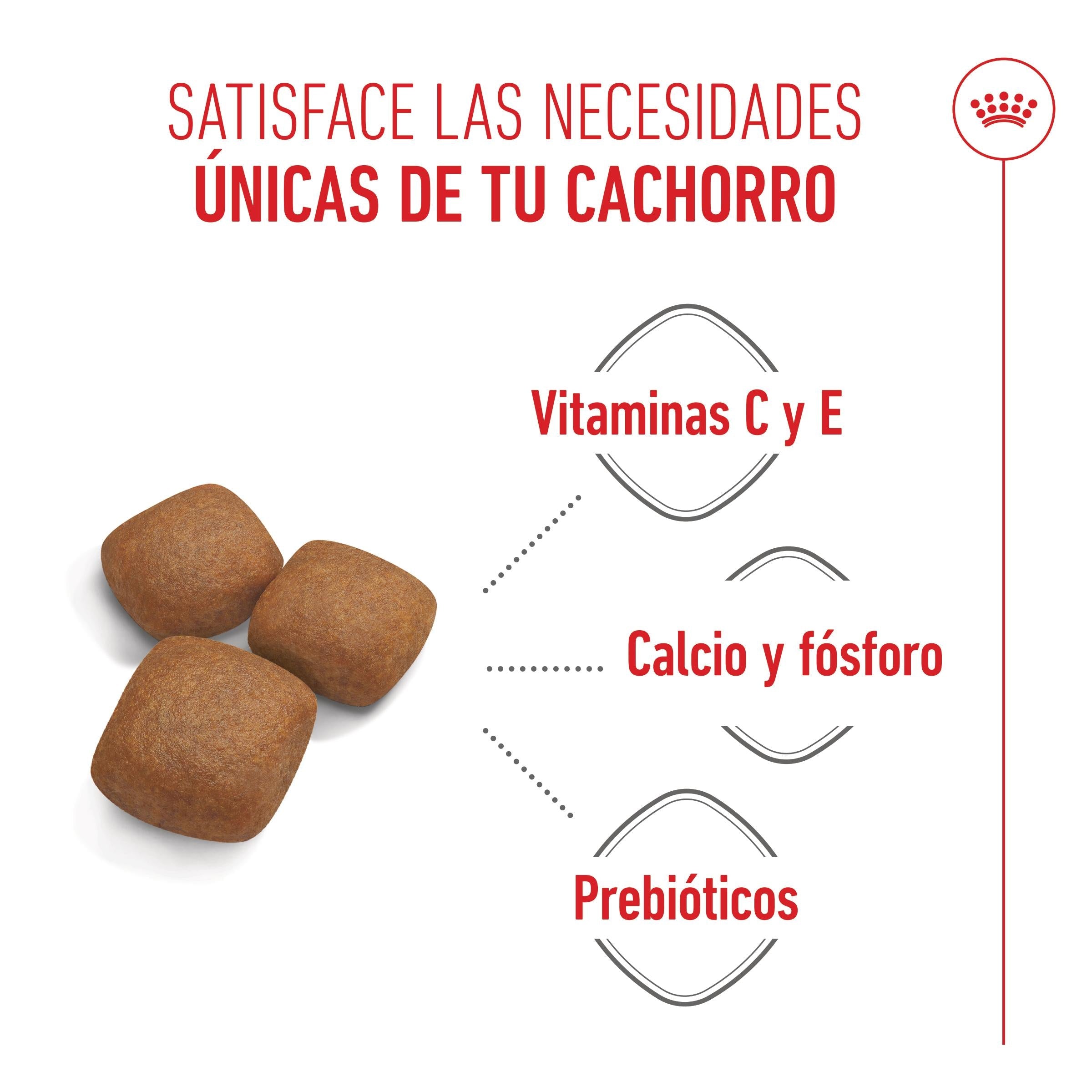 Royal Canin Giant Junior Pienso para Cachorros de Raza Grande al mejor precio -todoastorenimal.com