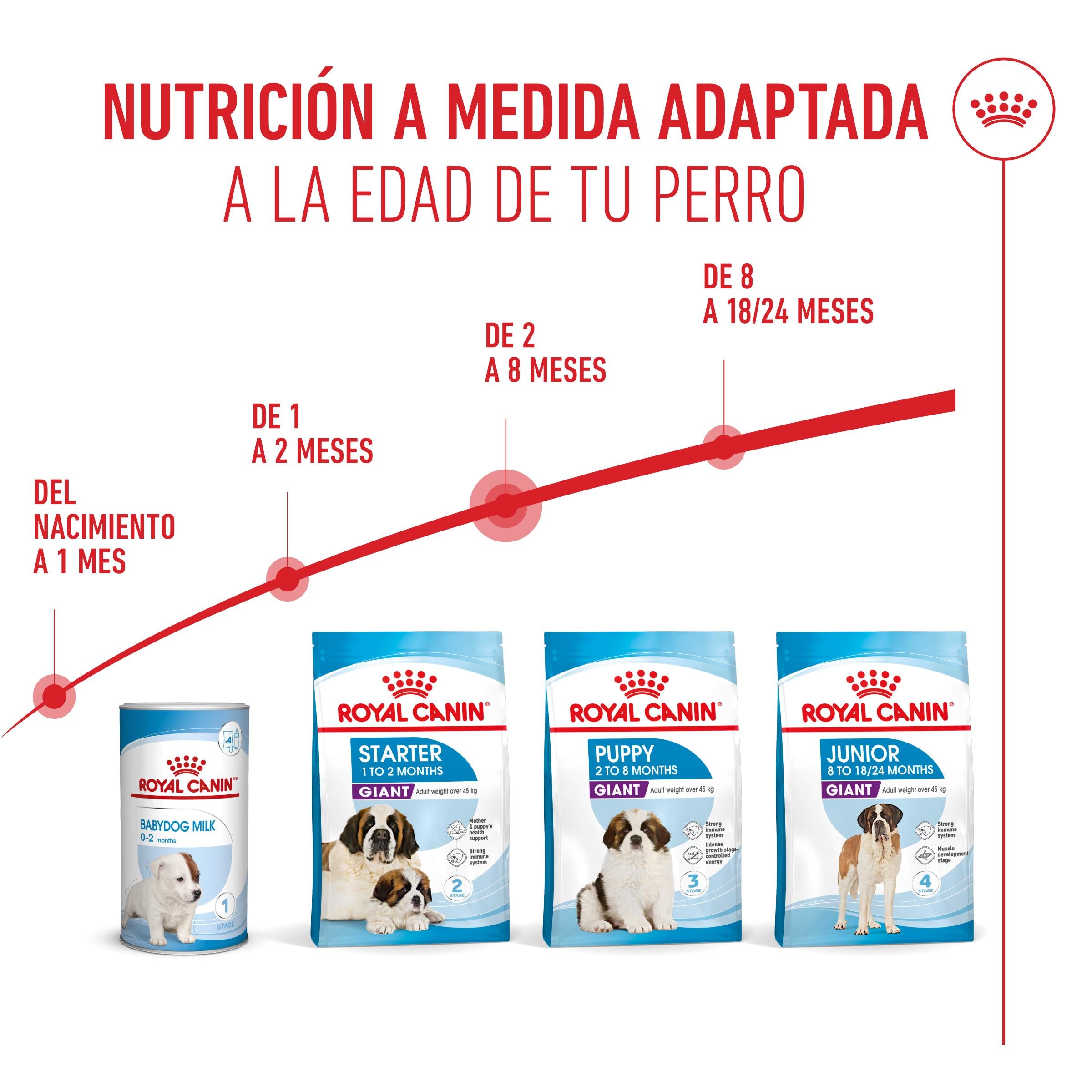 Royal Canin Giant Puppy Pienso para Cachorros de Raza Grande al mejor precio -todoastorenimal.com
