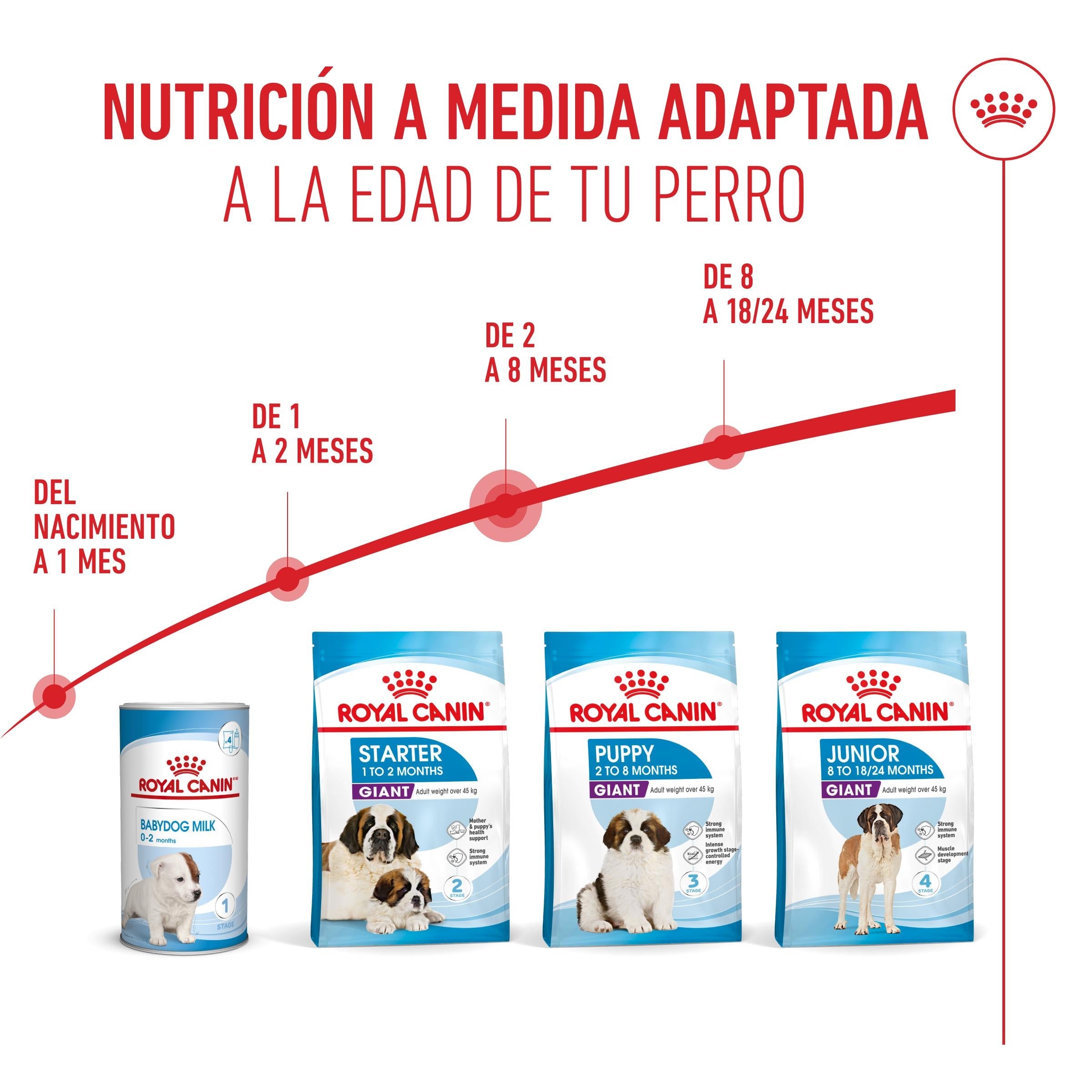 Royal Canin Giant Puppy Pienso para Cachorros de Raza Grande al mejor precio -todoastorenimal.com
