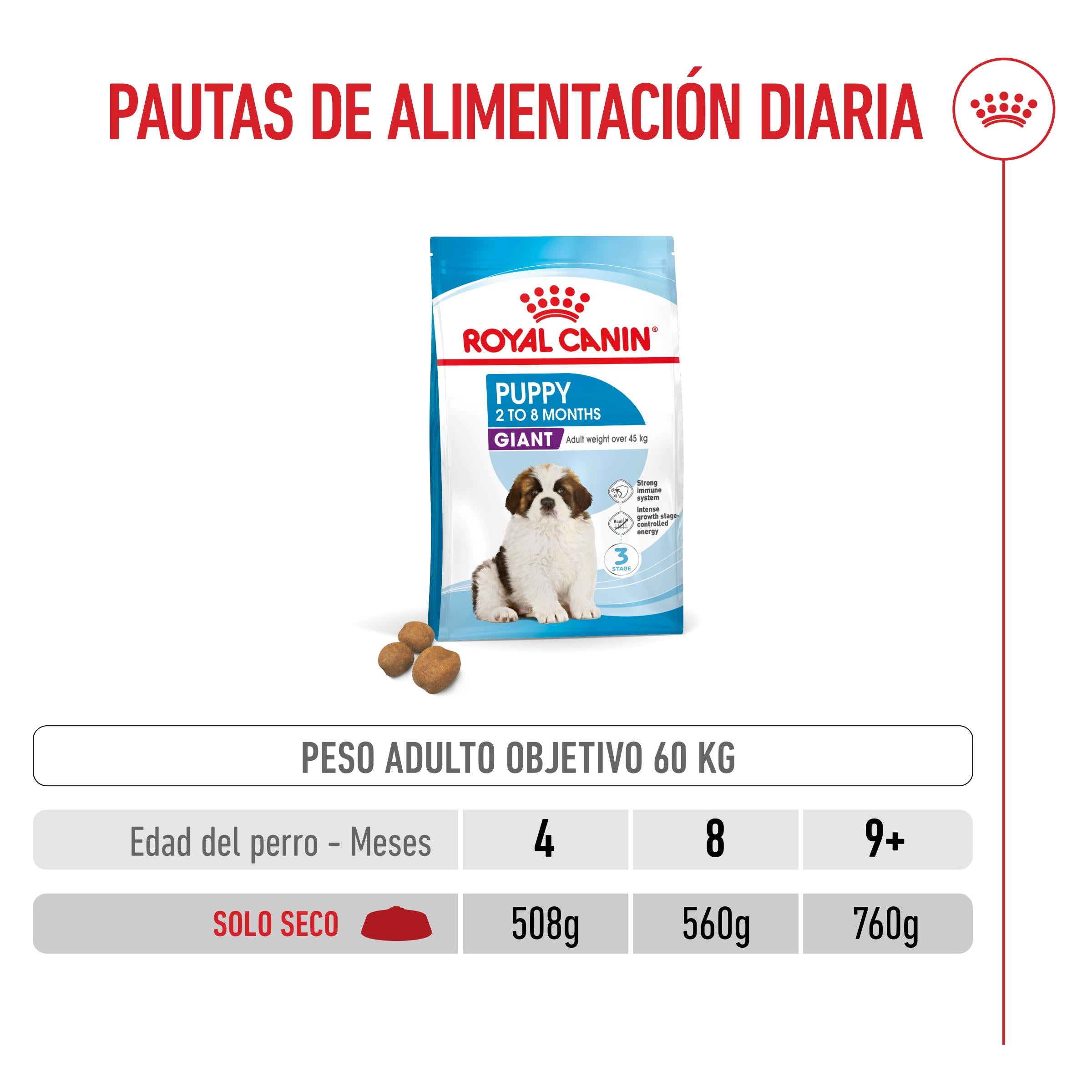 Royal Canin Giant Puppy Pienso para Cachorros de Raza Grande al mejor precio -todoastorenimal.com
