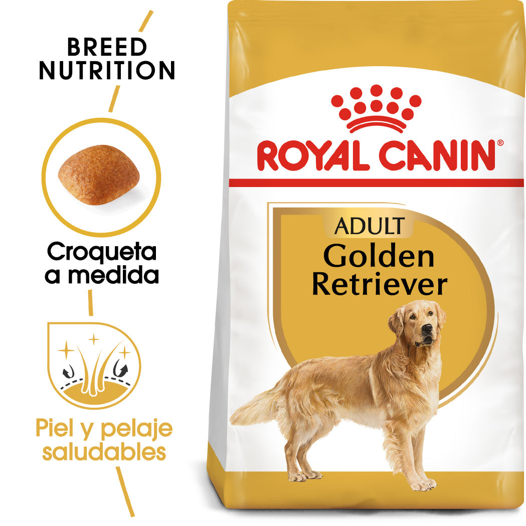 Royal Canin Golden Retriever Pienso para Perros de Raza al mejor precio -todoastorenimal.com