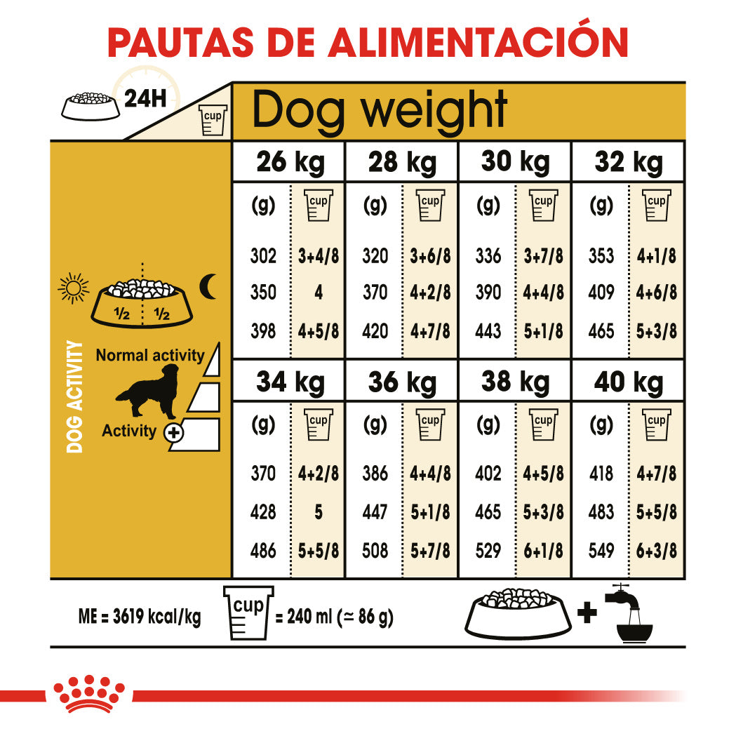 Royal Canin Golden Retriever Pienso para Perros de Raza al mejor precio -todoastorenimal.com
