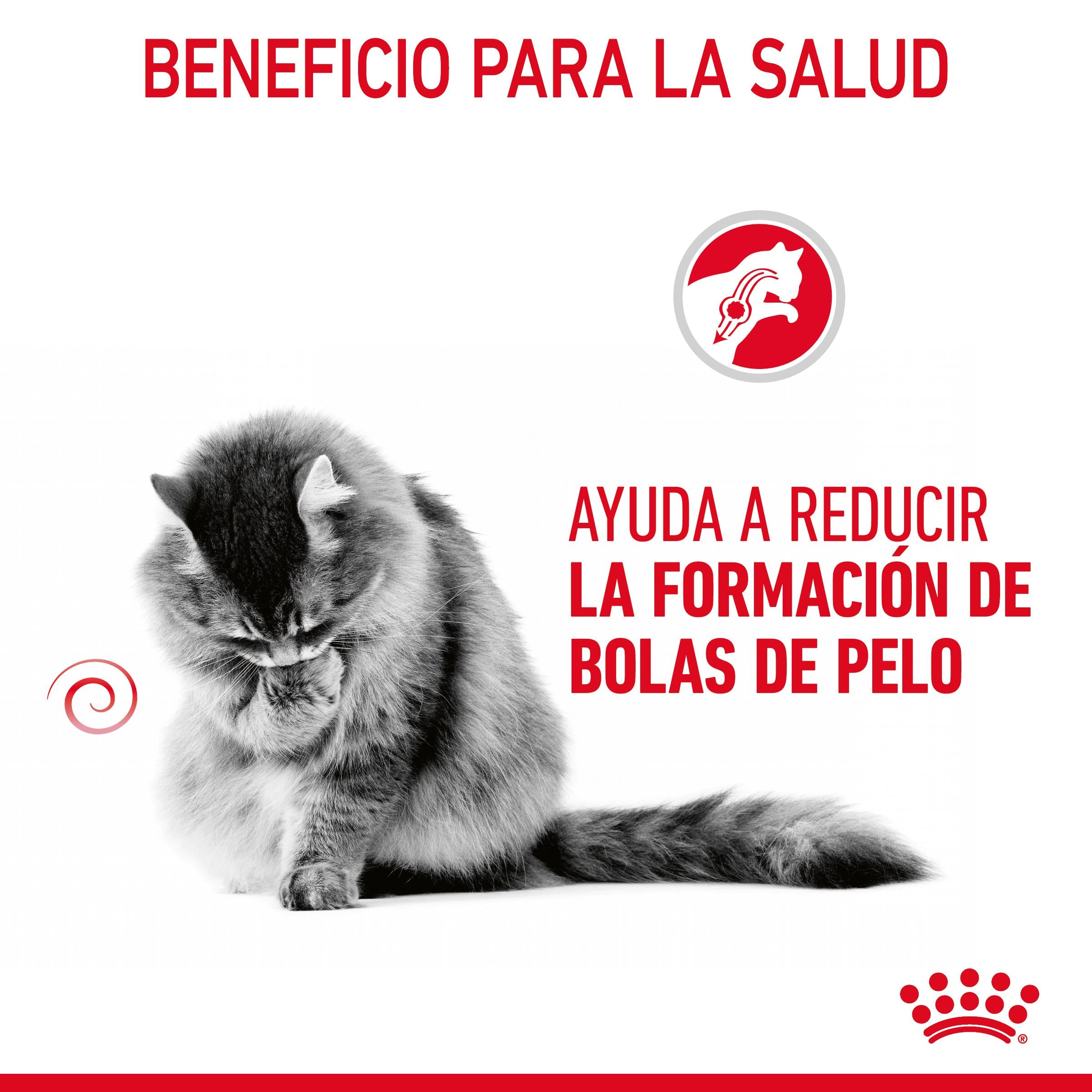 Royal Canin Hairball Care Finas Láminas en Salsa 85 g Húmedo para Gatos al mejor precio -todoastorenimal.com