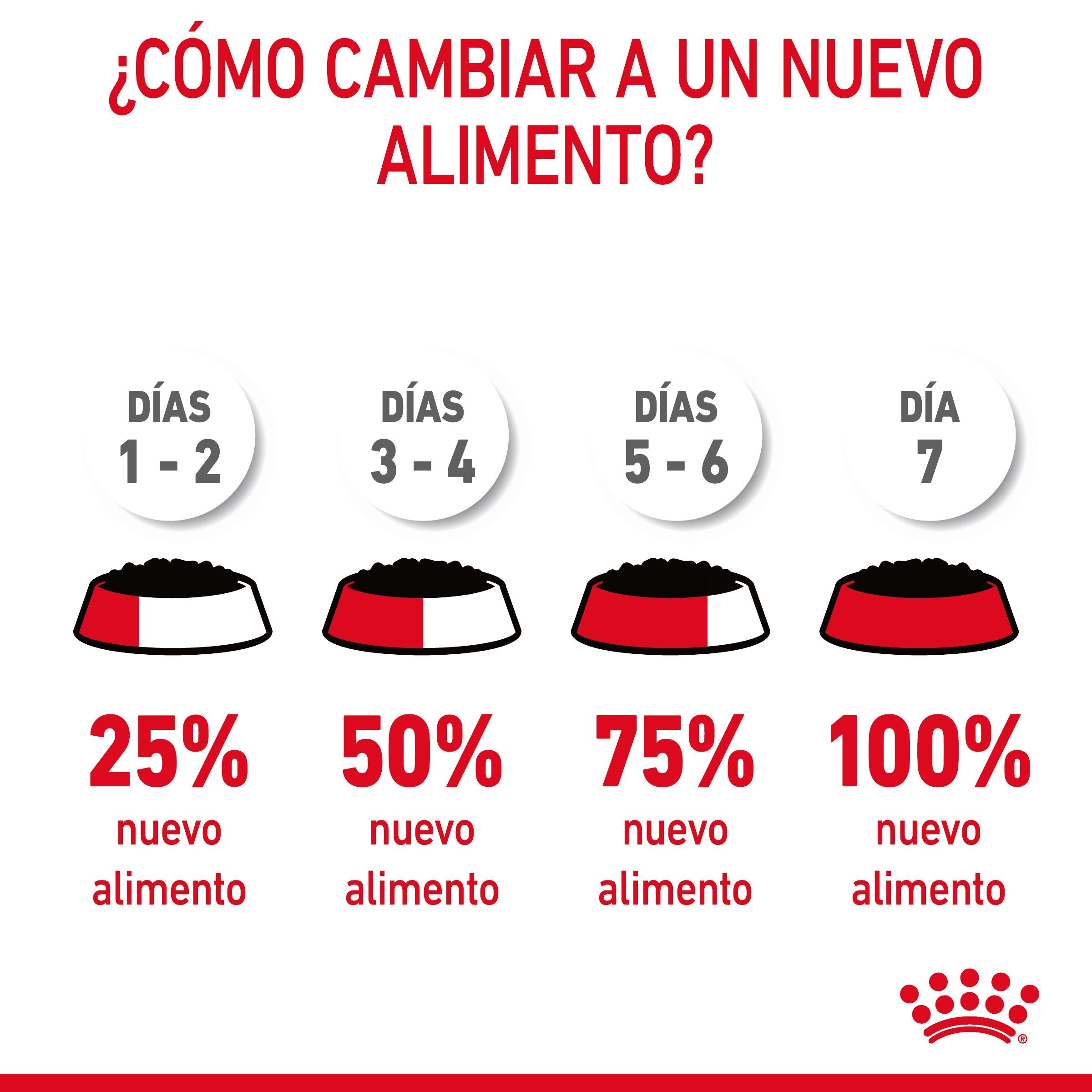 Royal Canin Hairball Care Finas Láminas en Salsa 85 g Húmedo para Gatos al mejor precio -todoastorenimal.com