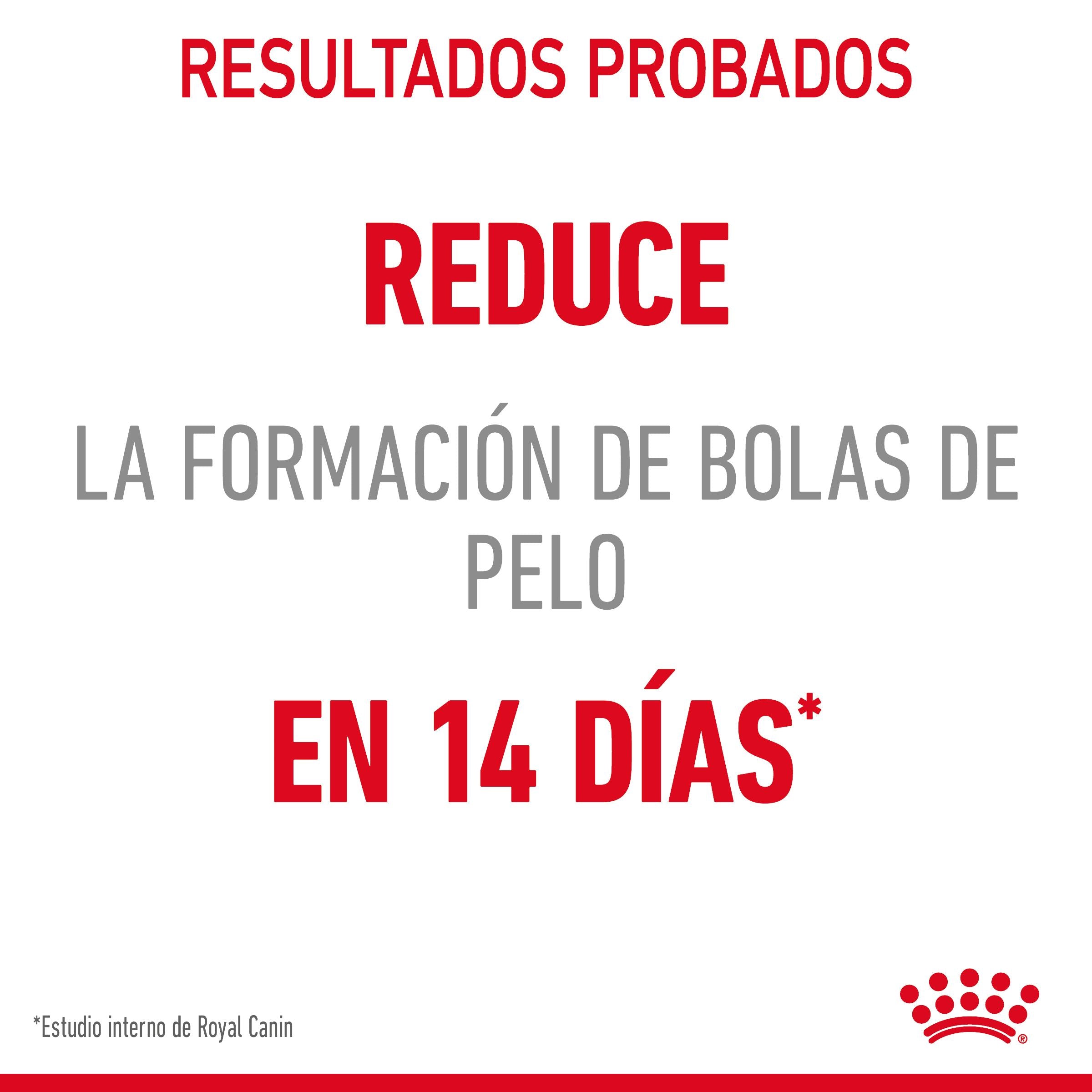 Royal Canin Hairball Care Pienso para Gatos Anti Bolas de Pelo al mejor precio -todoastorenimal.com