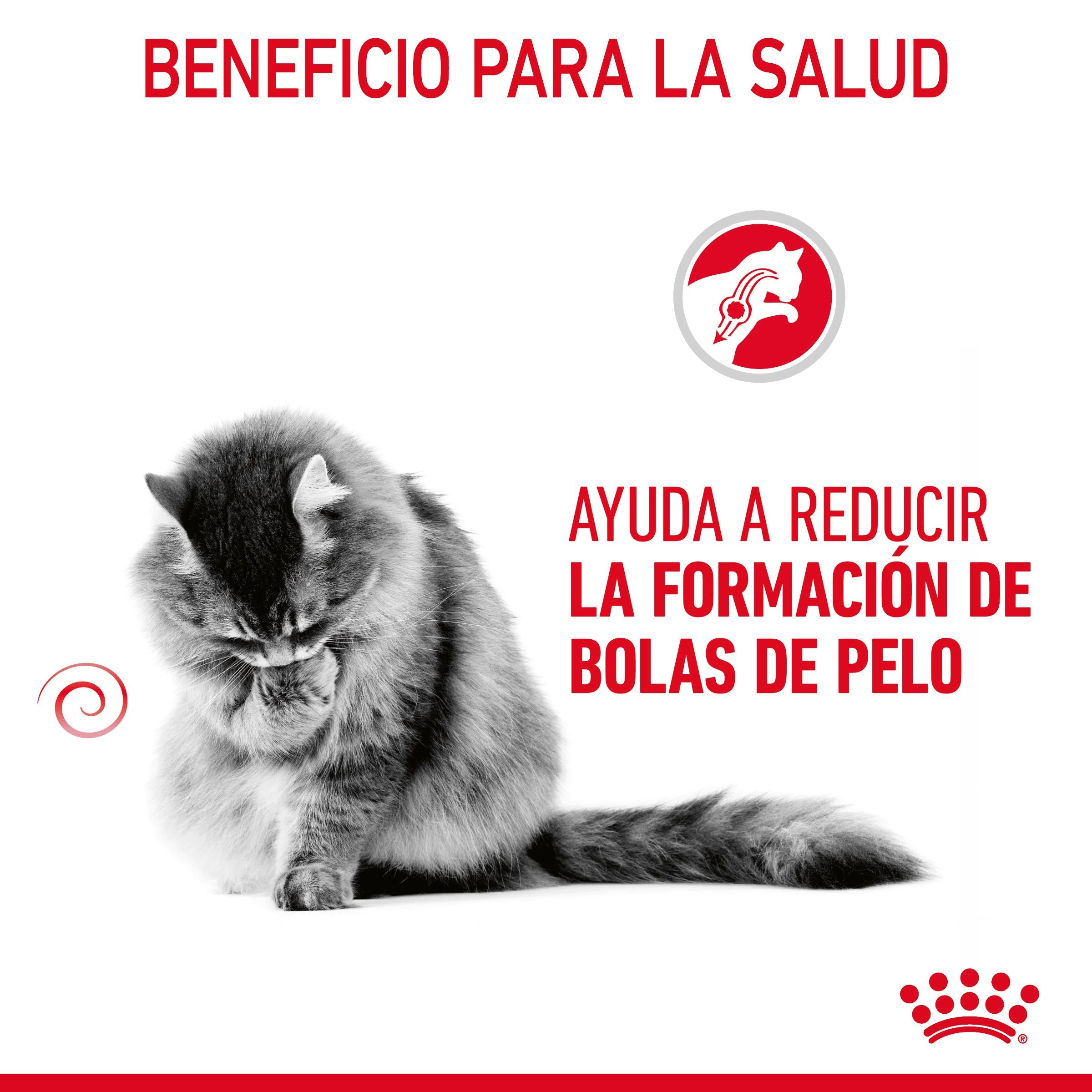 Royal Canin Hairball Care Pienso para Gatos Anti Bolas de Pelo al mejor precio -todoastorenimal.com