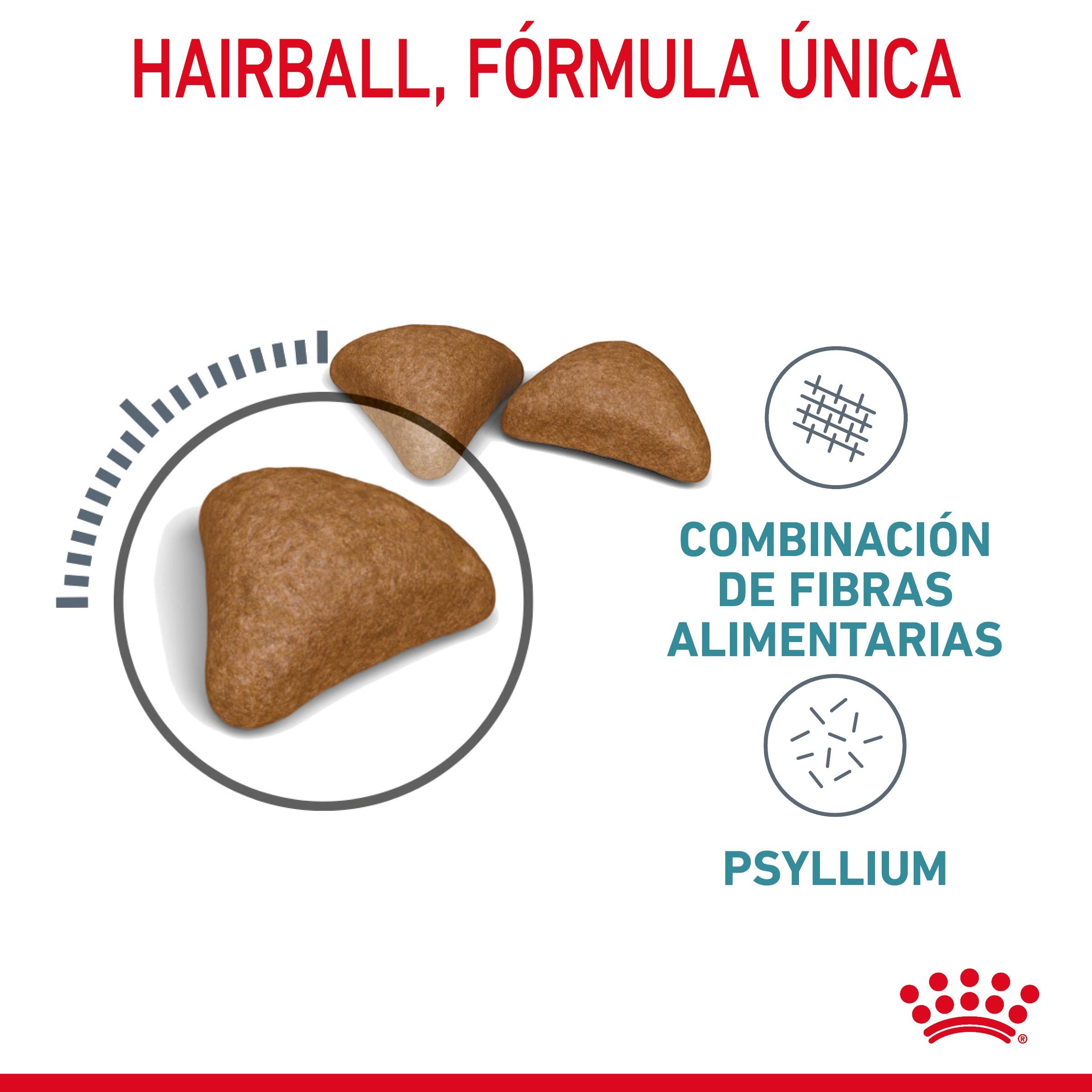 Royal Canin Hairball Care Pienso para Gatos Anti Bolas de Pelo al mejor precio -todoastorenimal.com