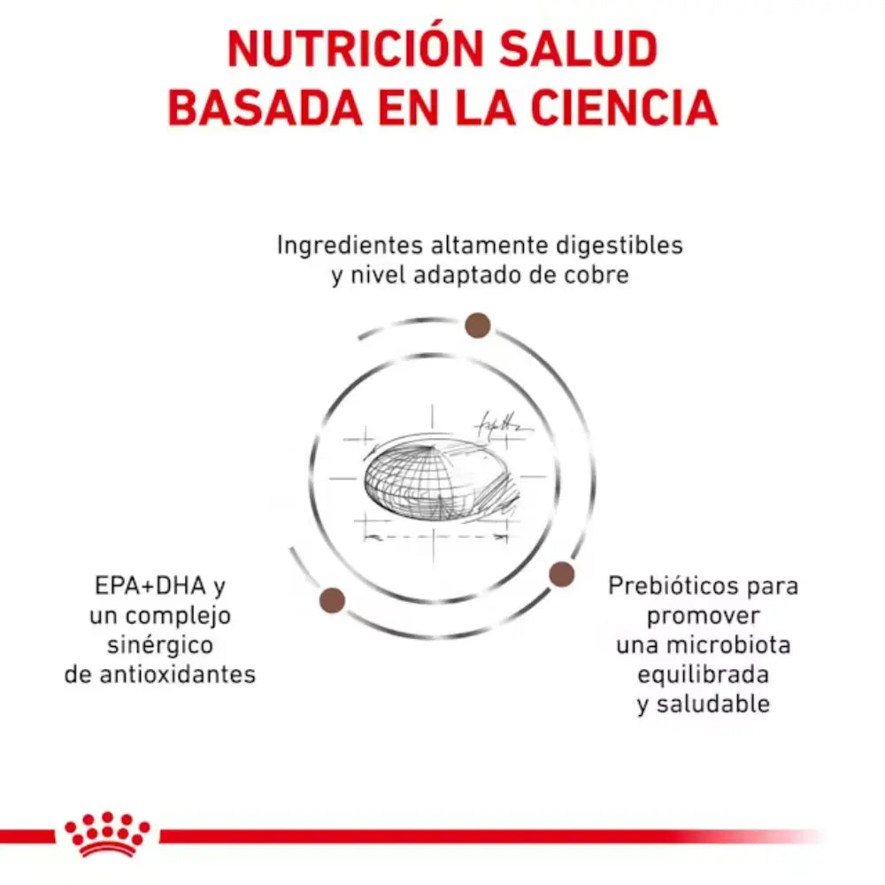 Royal Canin Hepatic Gato al mejor precio -todoastorenimal.com